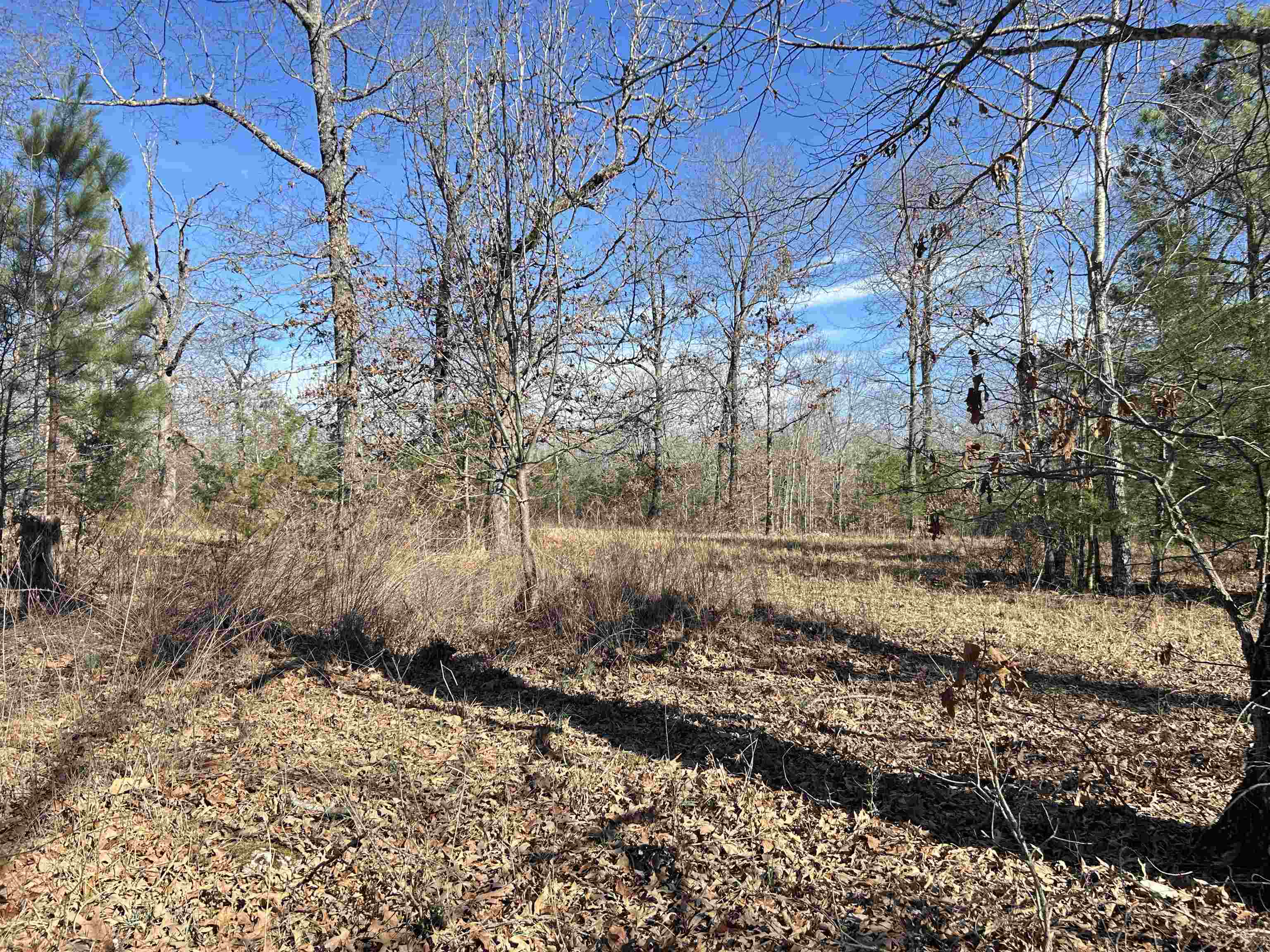 Photo 23 - Vacant Land for sale – TBD  Hwy 62/412   Highland, AR