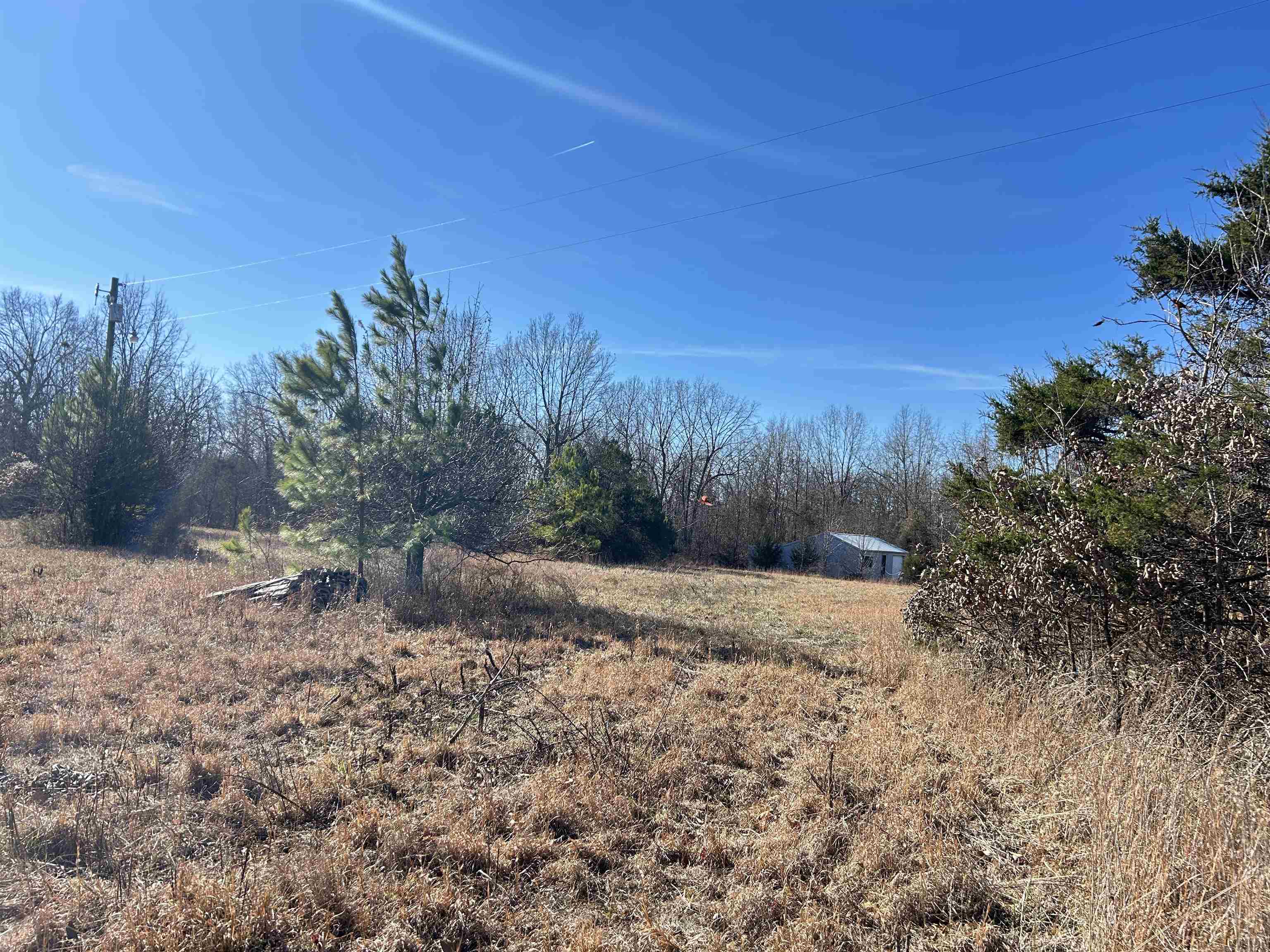 Photo 7 - Vacant Land for sale – TBD  Hwy 62/412   Highland, AR