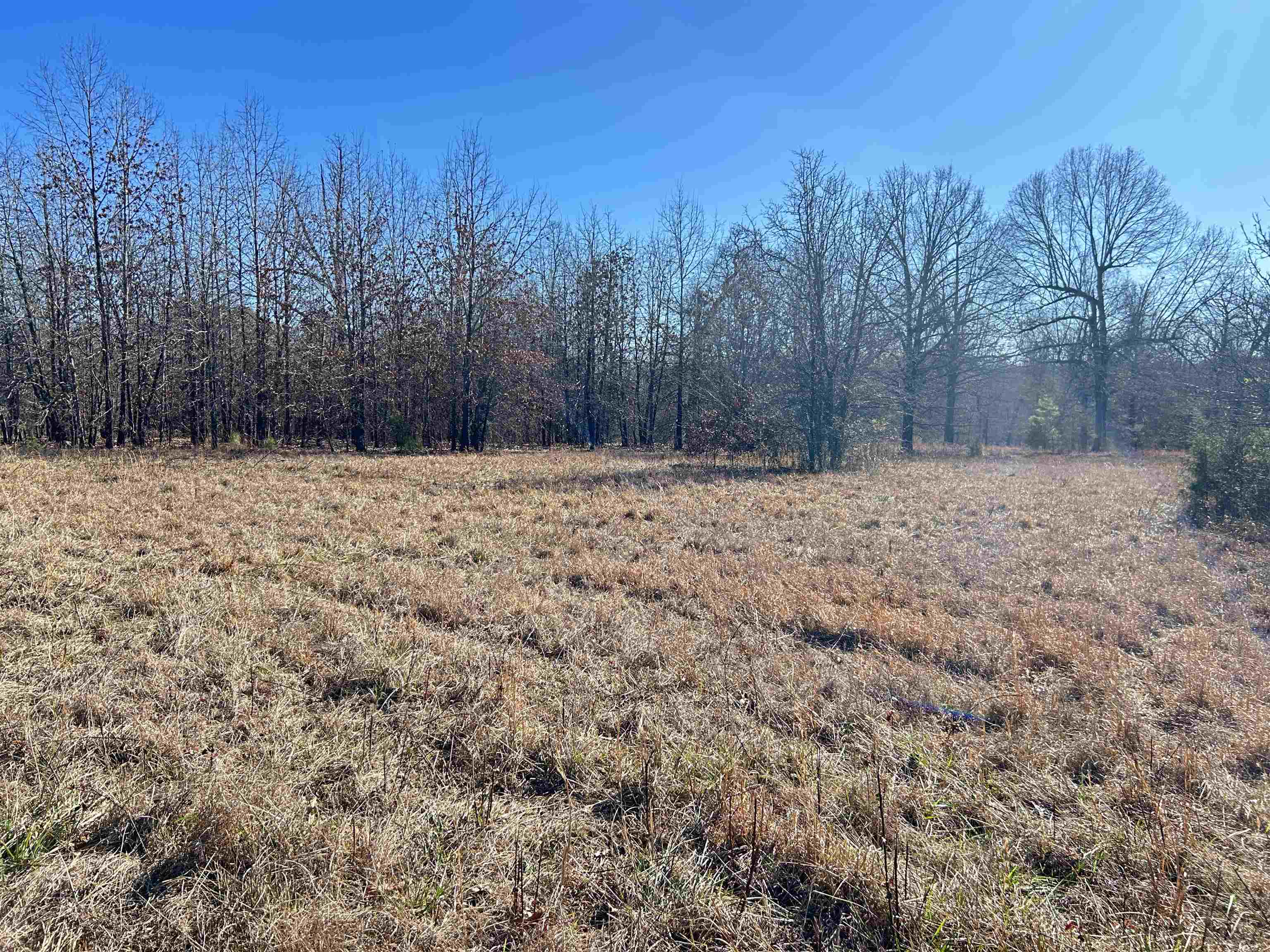 Photo 8 - Vacant Land for sale – TBD  Hwy 62/412   Highland, AR