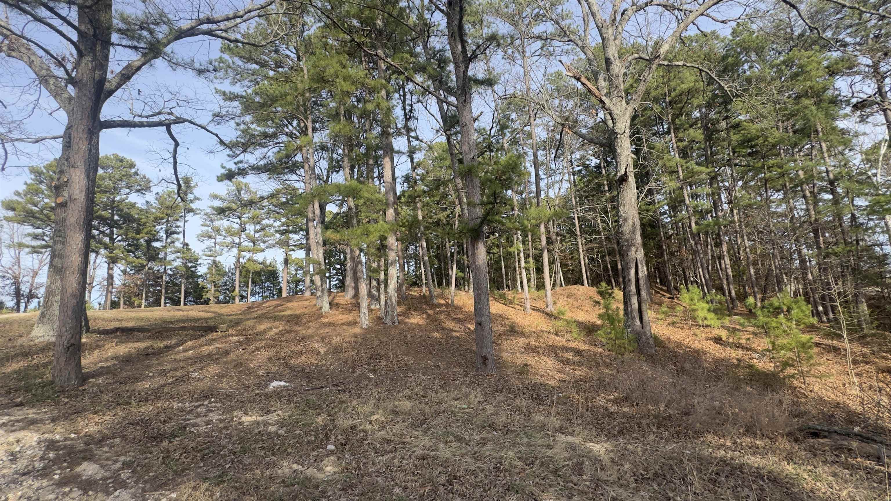 Photo 34 - Residential for sale – 700  Wideman   Oxford, AR