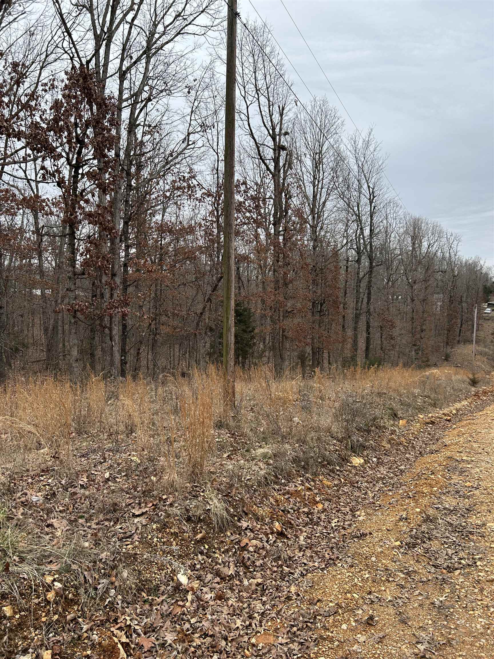 Photo 2 - Residential for sale – TBD  Slick Rock RD   Hardy, AR