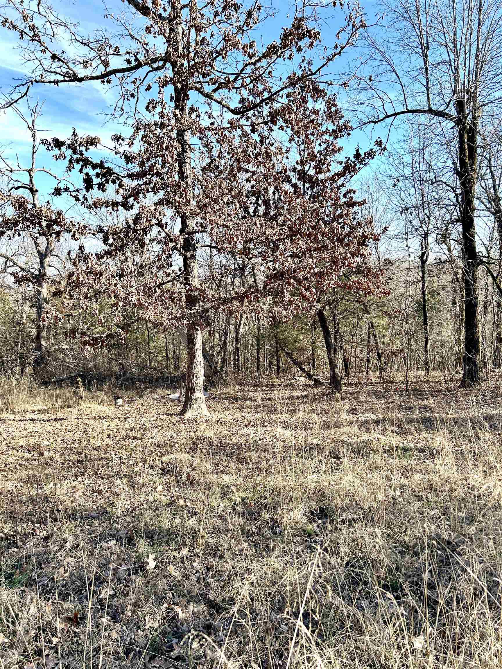 Photo 14 - Residential for sale – TBD  Slick Rock RD   Hardy, AR