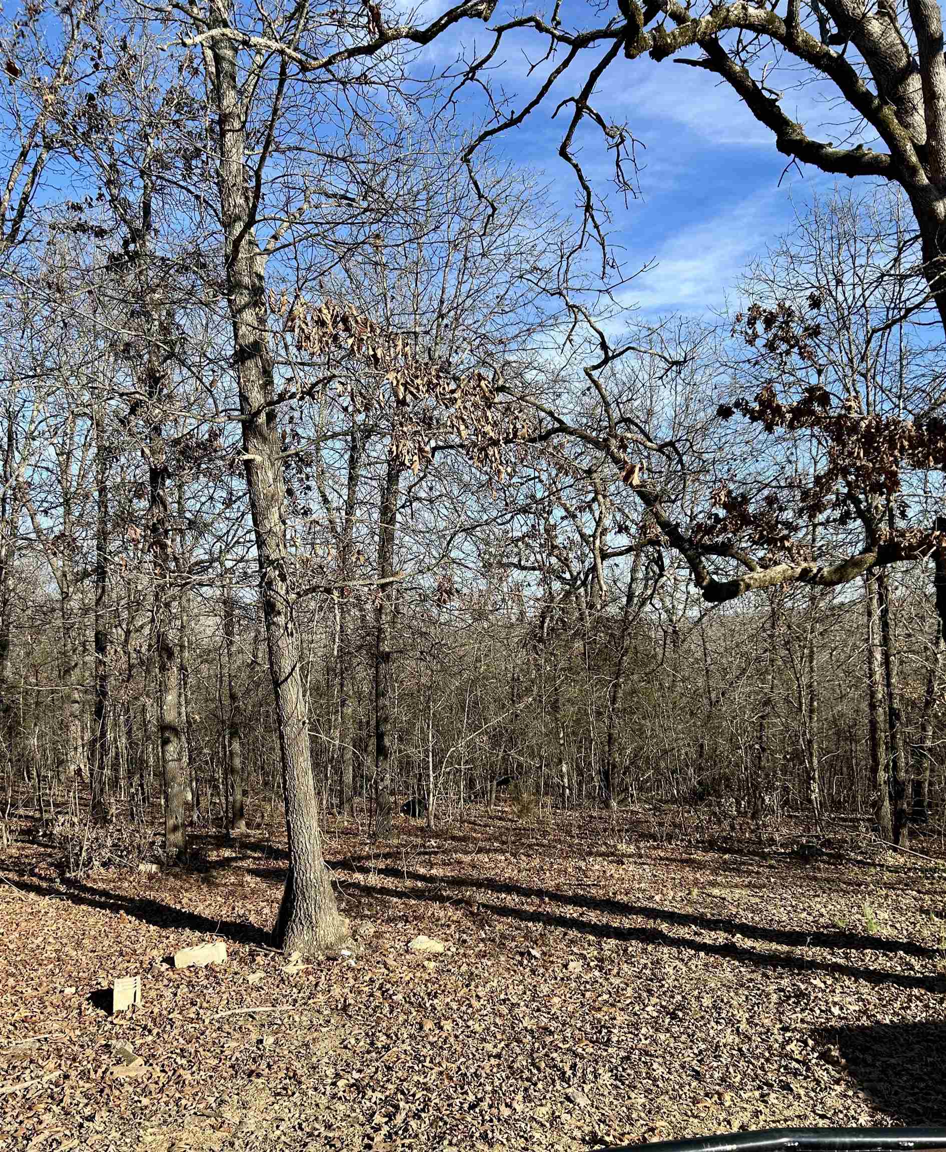 Photo 28 - Residential for sale – TBD  Slick Rock RD   Hardy, AR