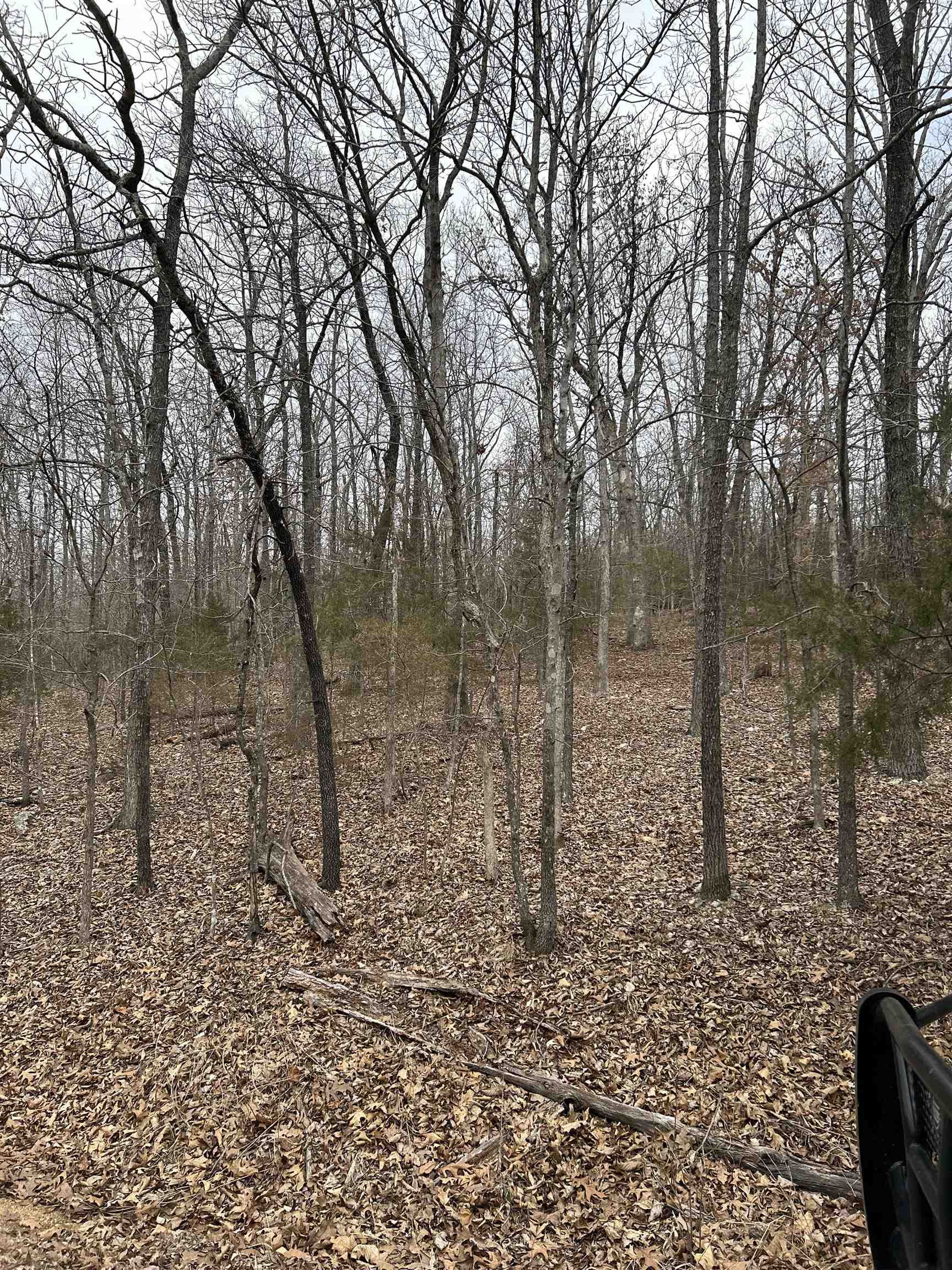 Photo 4 - Residential for sale – TBD  Slick Rock RD   Hardy, AR