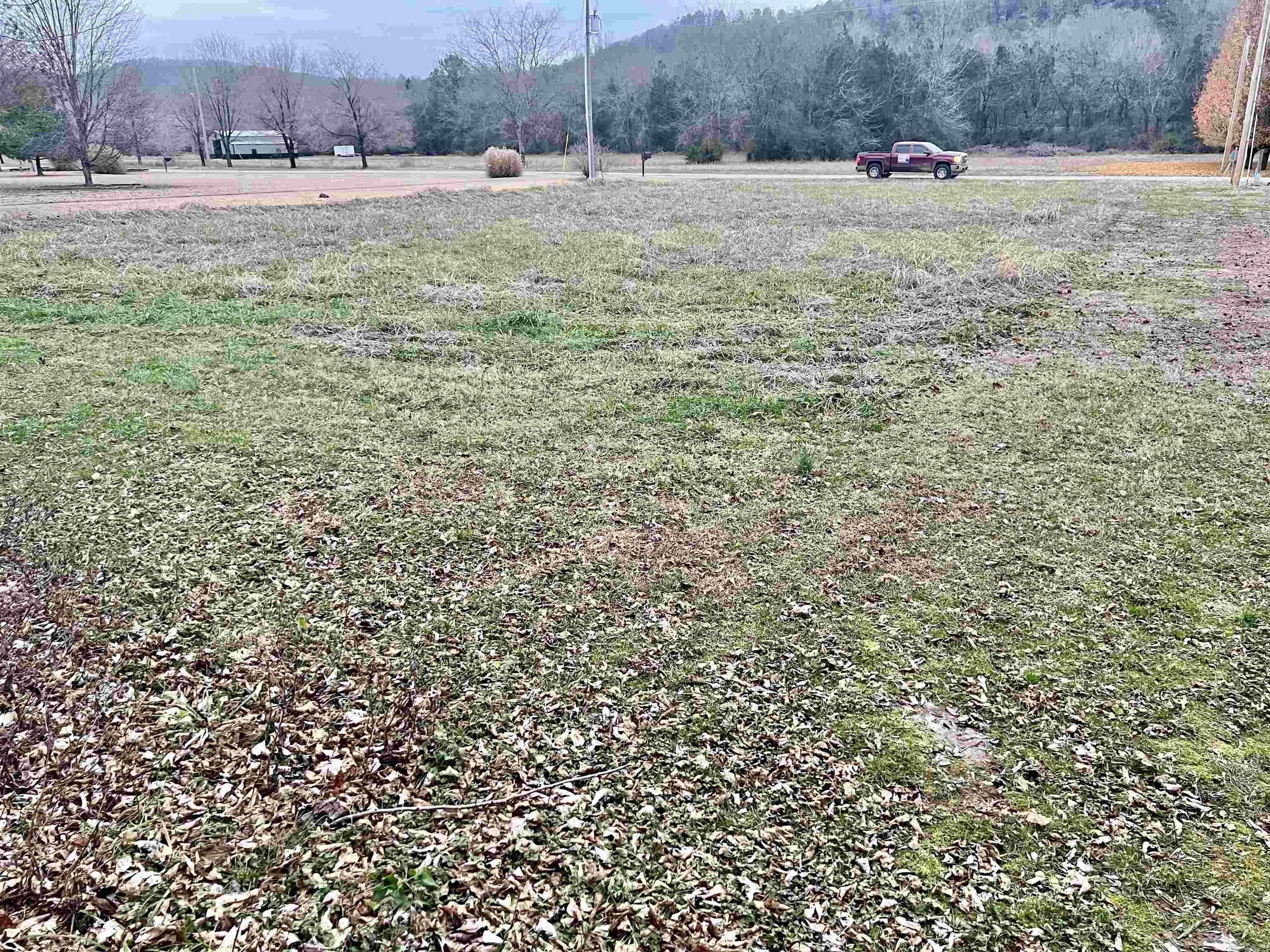 Photo 3 - Vacant Land for sale – 00  South Riverview   Mountain View, AR