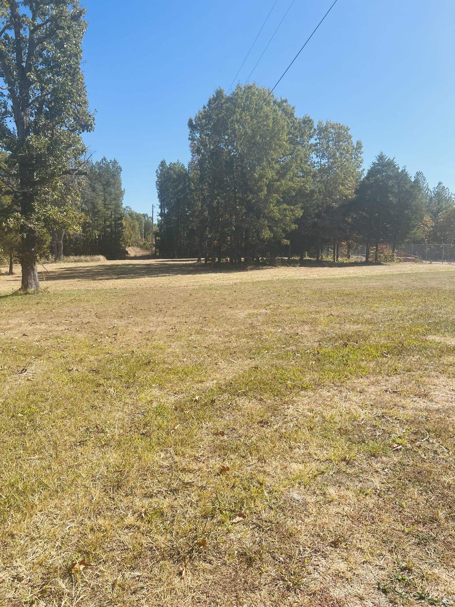 Photo 4 - Vacant Land for sale – 2896  Hwy 62/412   Highland, AR