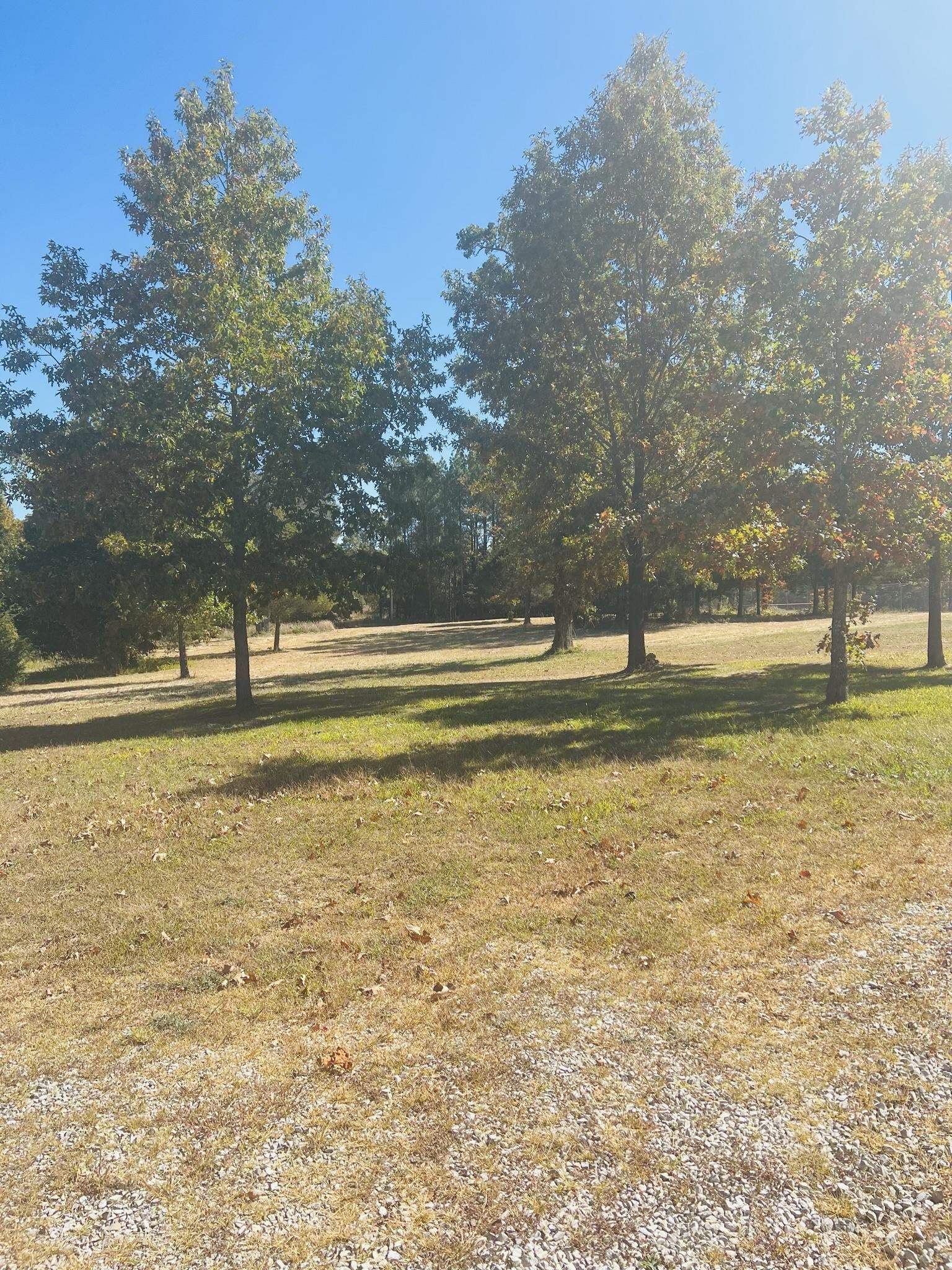 Photo 5 - Vacant Land for sale – 2896  Hwy 62/412   Highland, AR