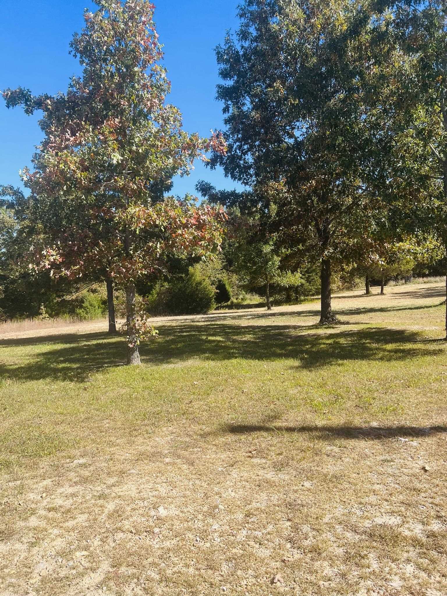 Photo 6 - Vacant Land for sale – 2896  Hwy 62/412   Highland, AR