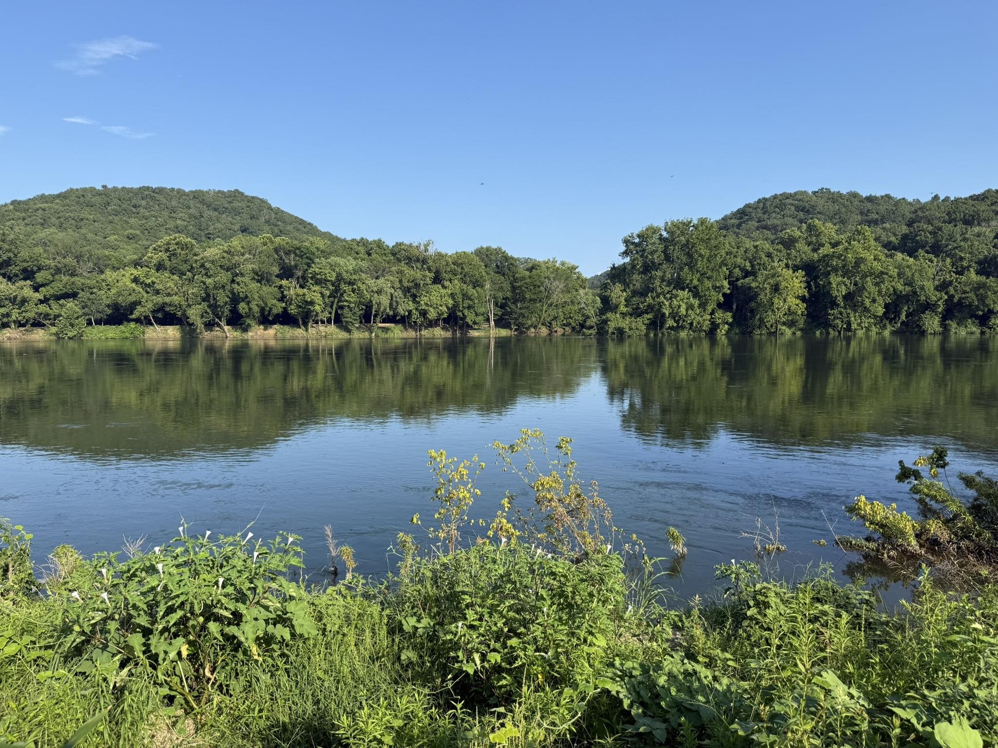 Photo 5 - Vacant Land for sale – 000  Schoolhouse Road   Melbourne, AR