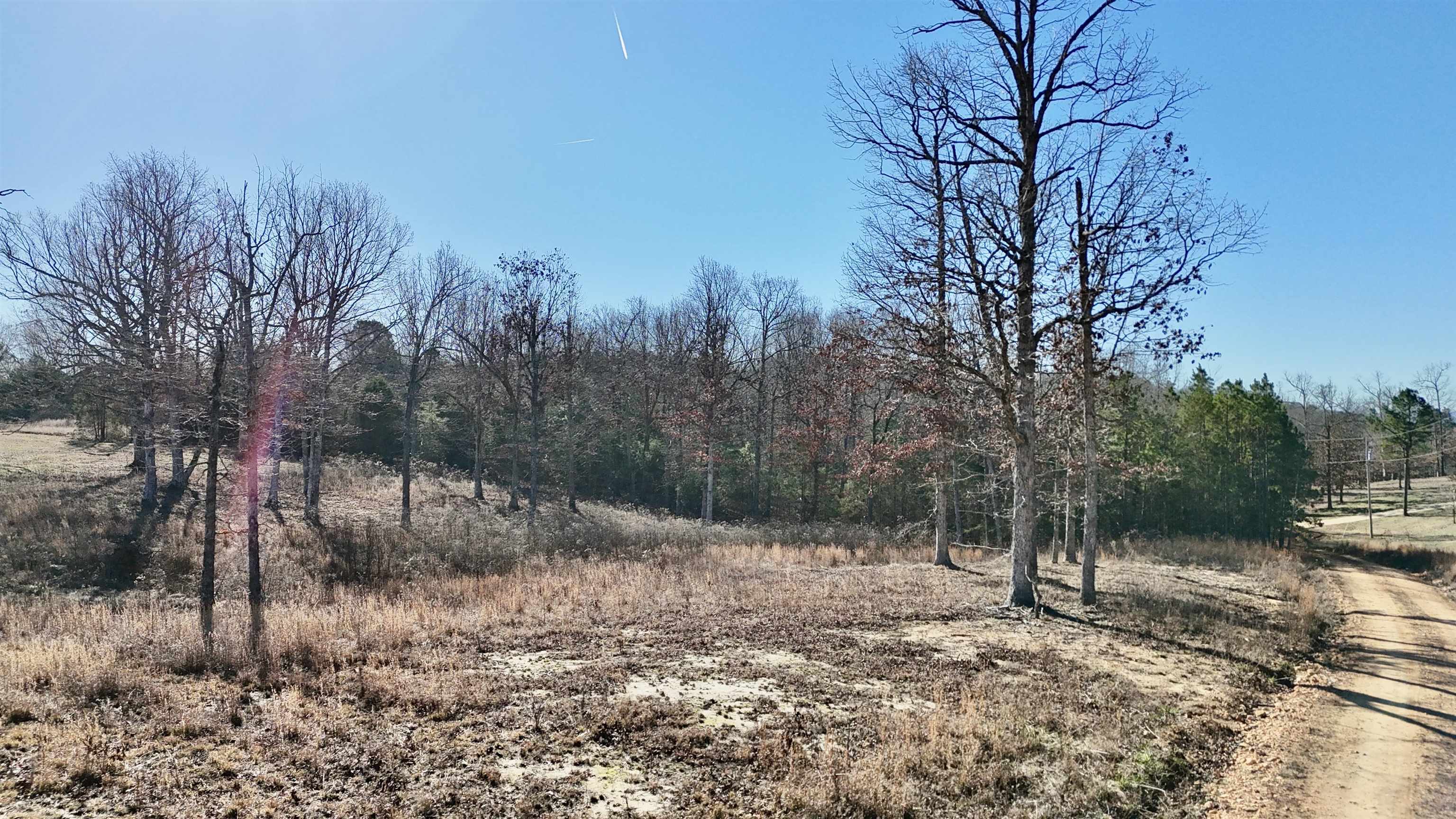 Photo 2 - Vacant Land for sale –   Peace Valley Rd   Melbourne, AR