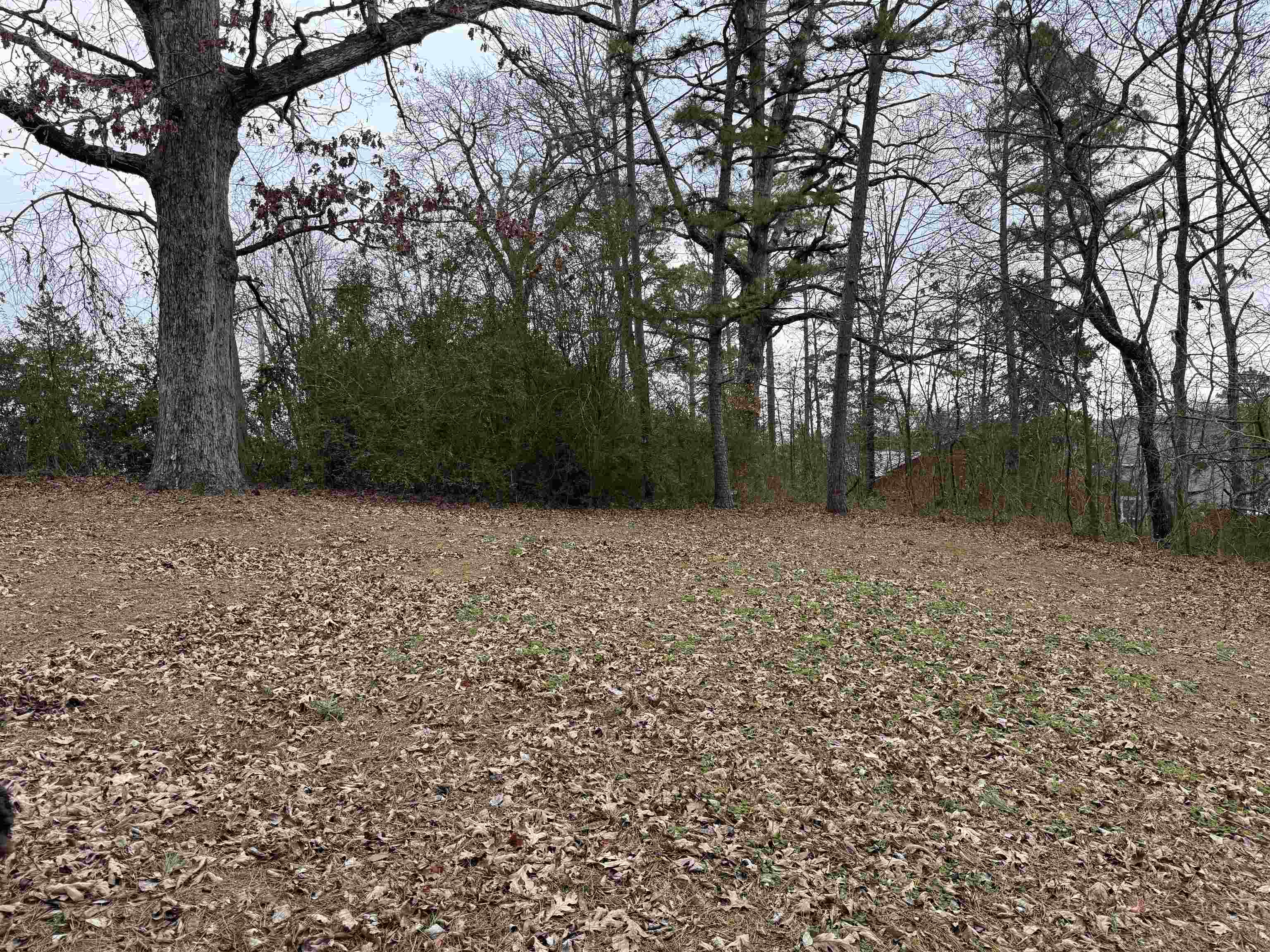 Photo 16 - Residential for sale – 37  Park Circle   Evening Shade, AR