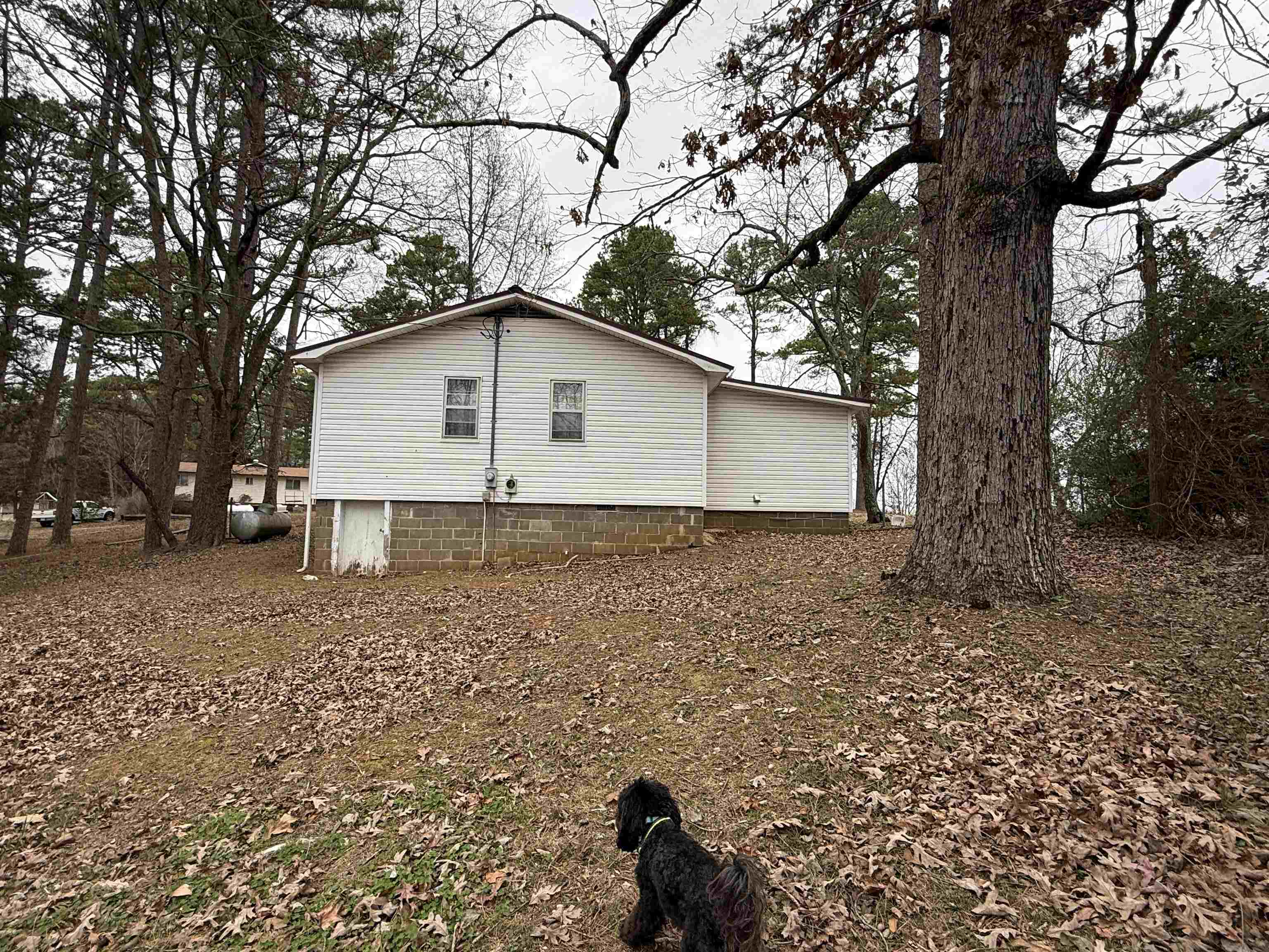 Photo 4 - Residential for sale – 37  Park Circle   Evening Shade, AR