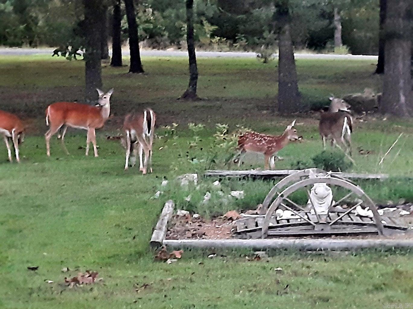 Photo 2 - Residential for sale – 302 E Church   Horseshoe Bend, AR