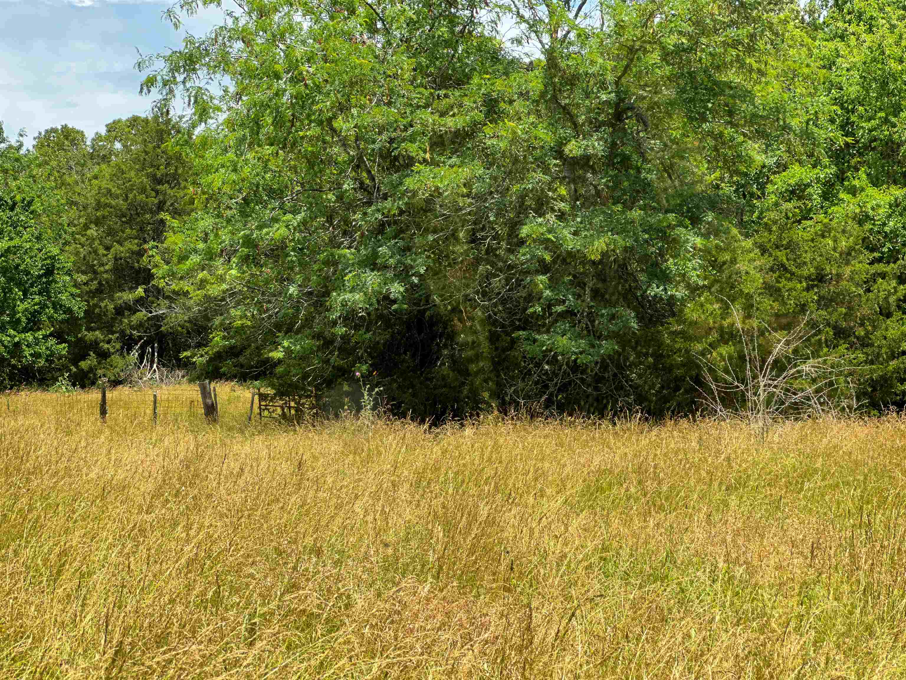 Photo 13 - Vacant Land for sale – 4115  Johnson View   Wiseman, AR