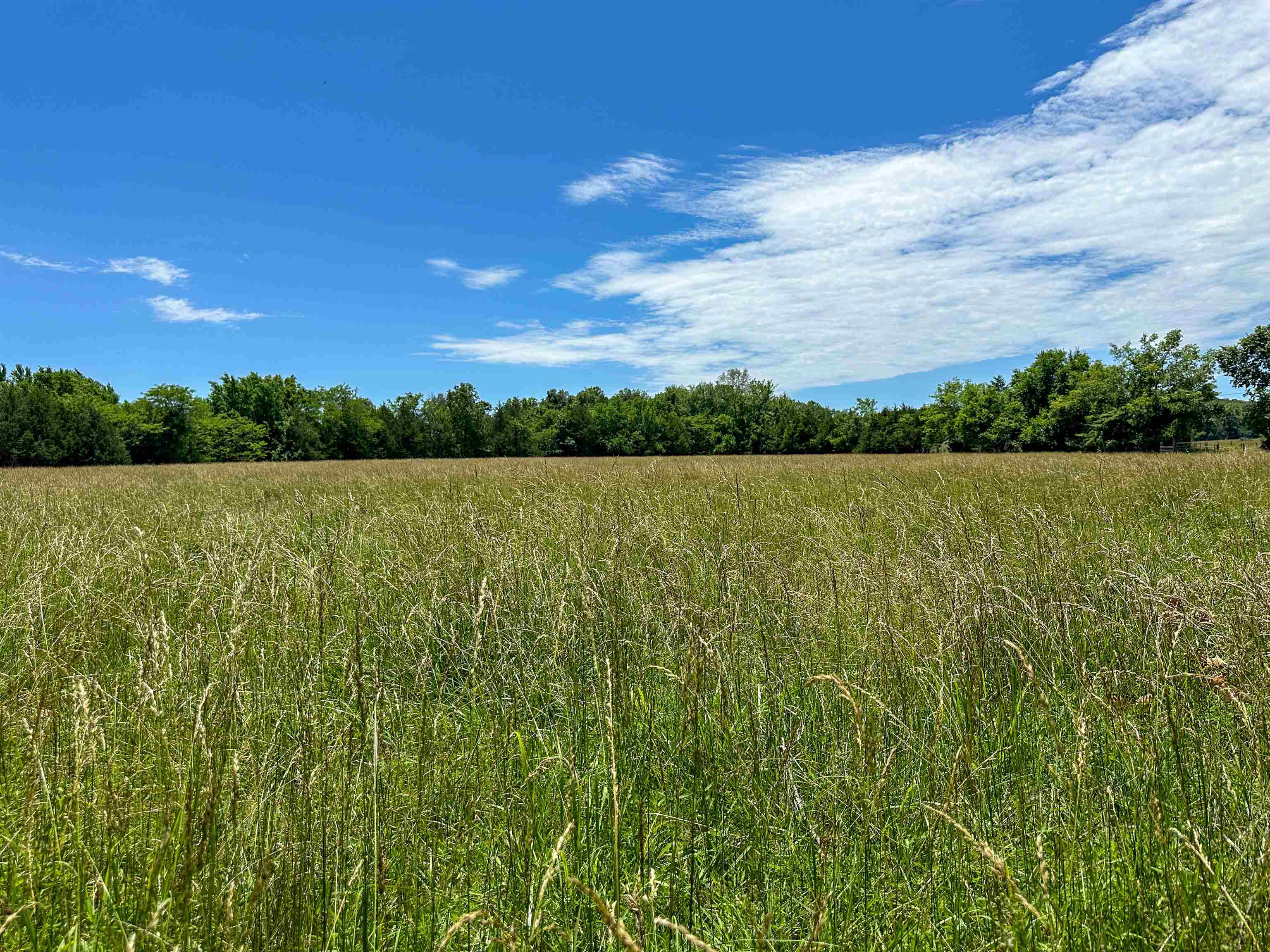 Photo 14 - Vacant Land for sale – 4115  Johnson View   Wiseman, AR