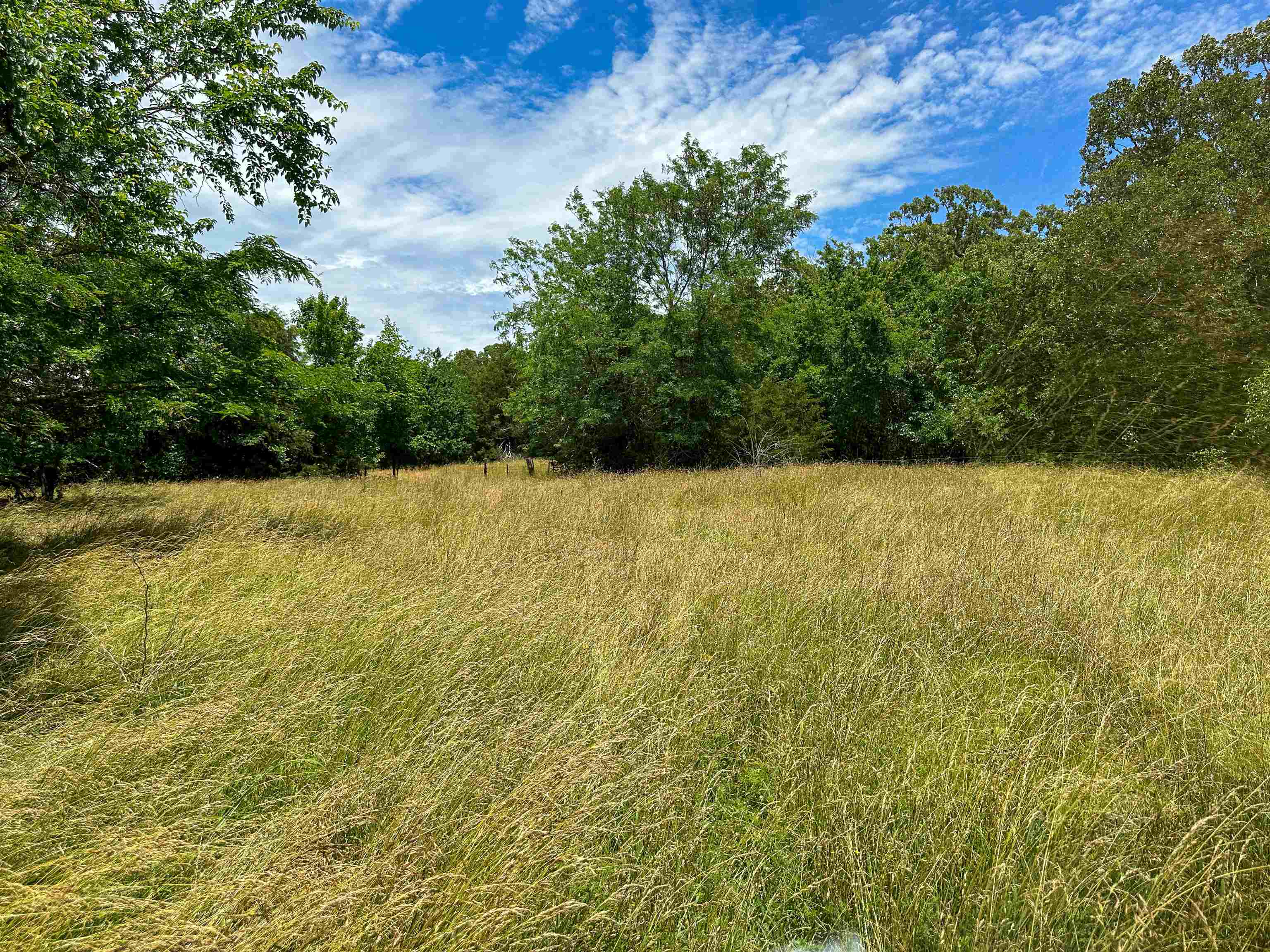 Photo 15 - Vacant Land for sale – 4115  Johnson View   Wiseman, AR