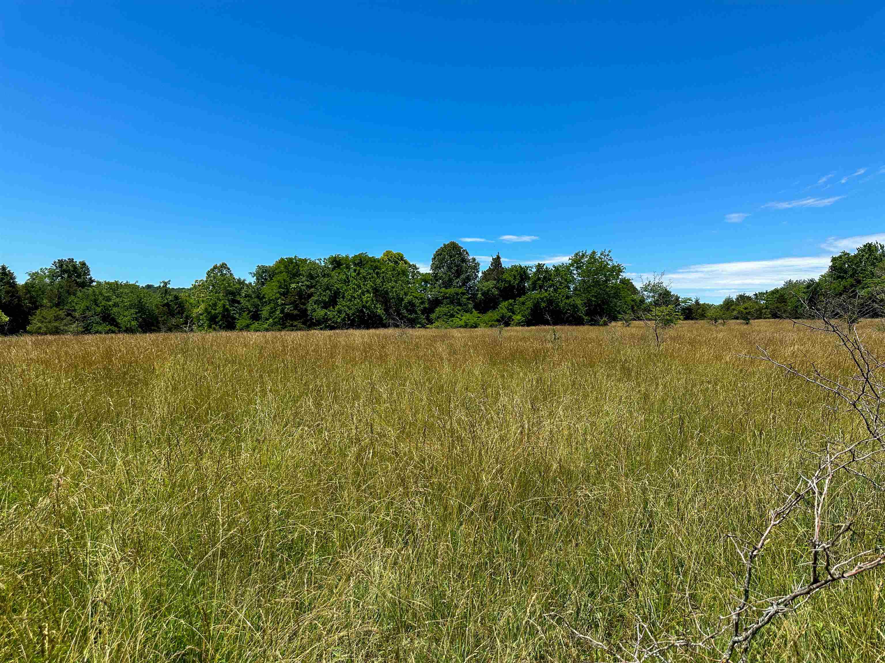 Photo 16 - Vacant Land for sale – 4115  Johnson View   Wiseman, AR
