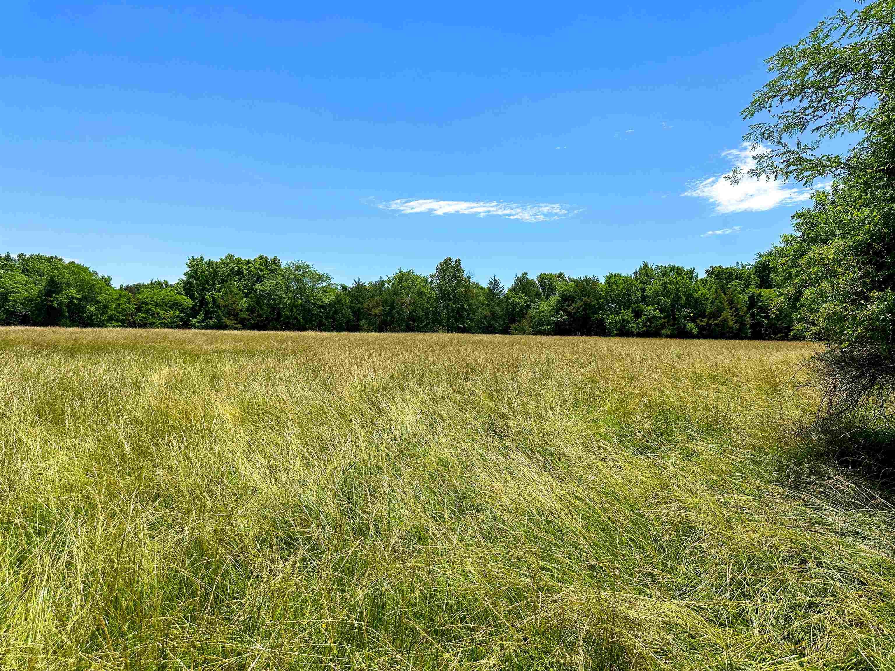 Photo 17 - Vacant Land for sale – 4115  Johnson View   Wiseman, AR