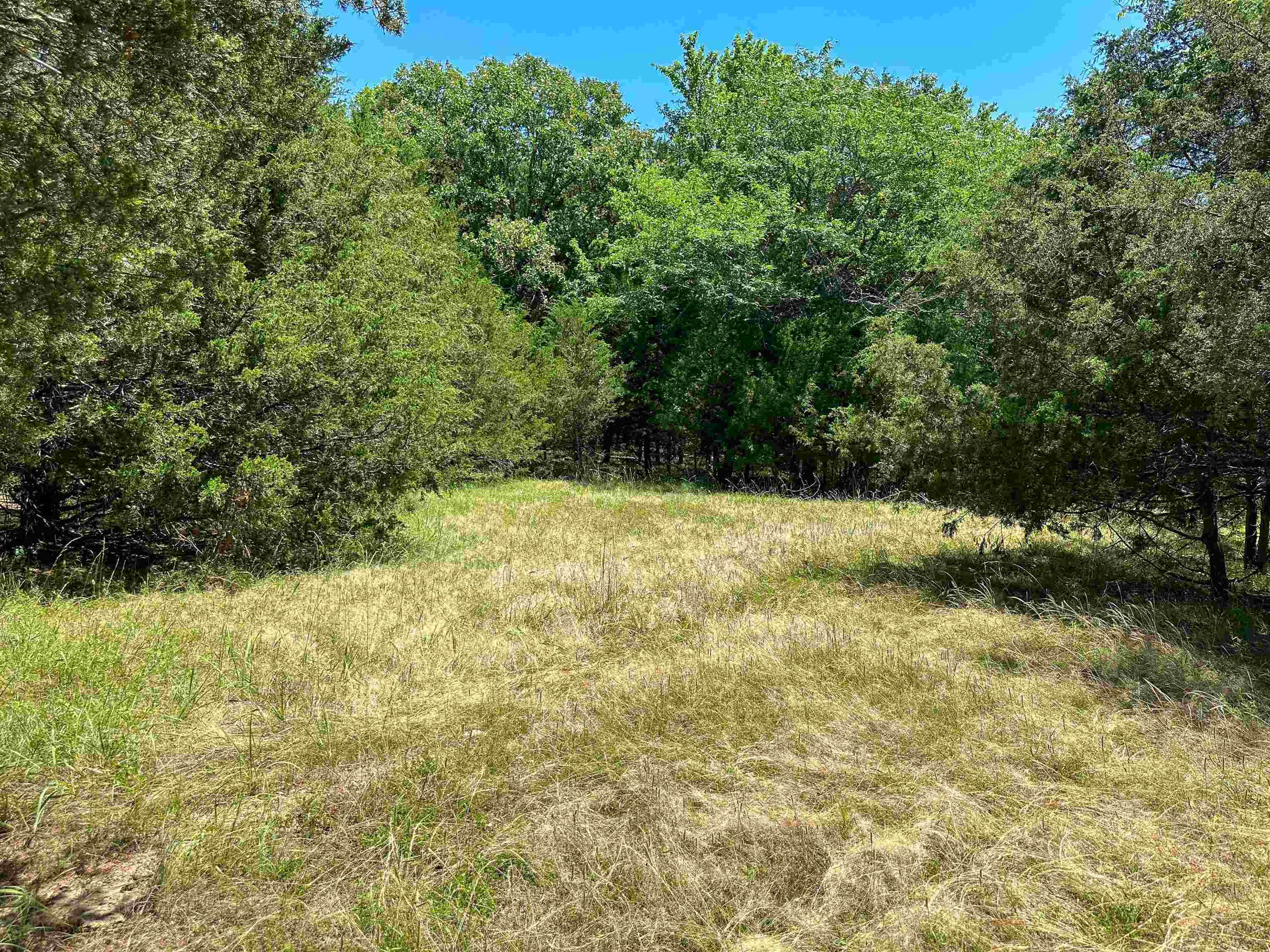 Photo 21 - Vacant Land for sale – 4115  Johnson View   Wiseman, AR
