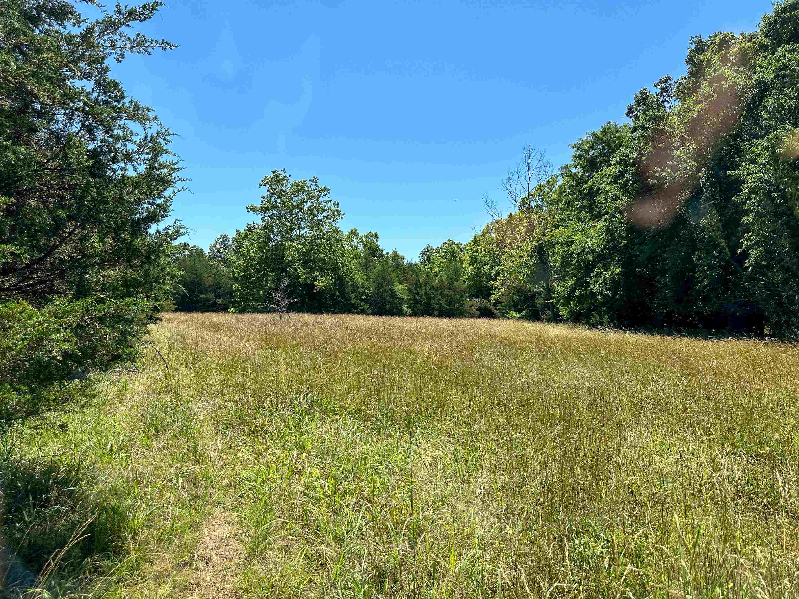 Photo 22 - Vacant Land for sale – 4115  Johnson View   Wiseman, AR