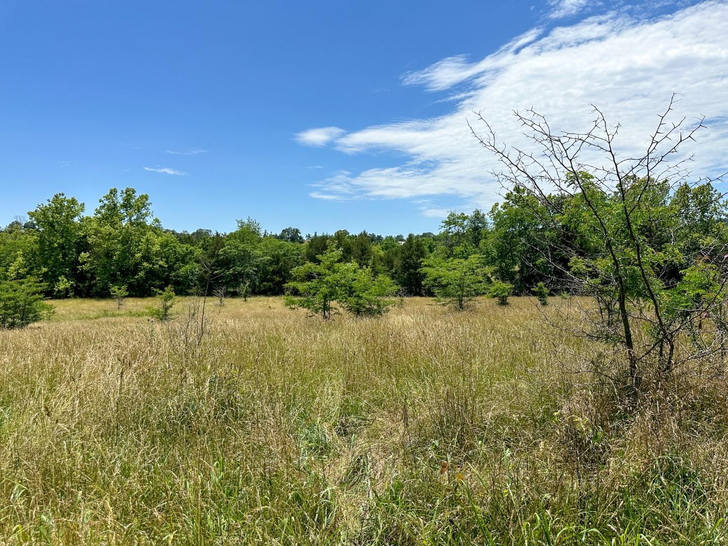 Photo 24 - Vacant Land for sale – 4115  Johnson View   Wiseman, AR