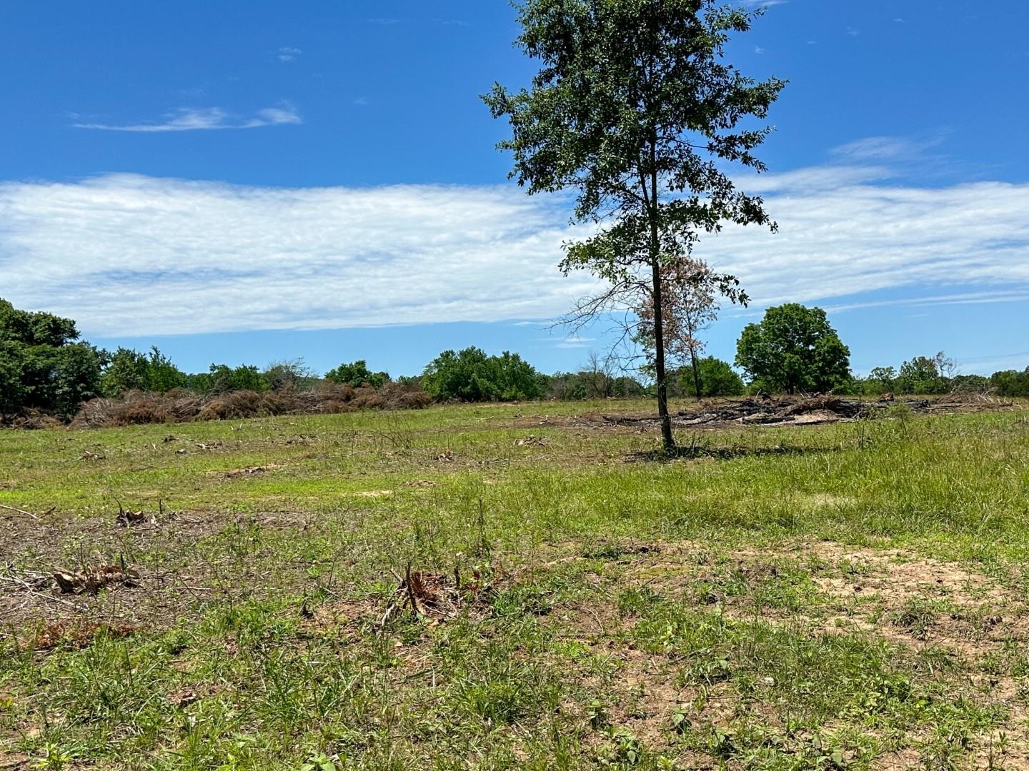Photo 27 - Vacant Land for sale – 4115  Johnson View   Wiseman, AR