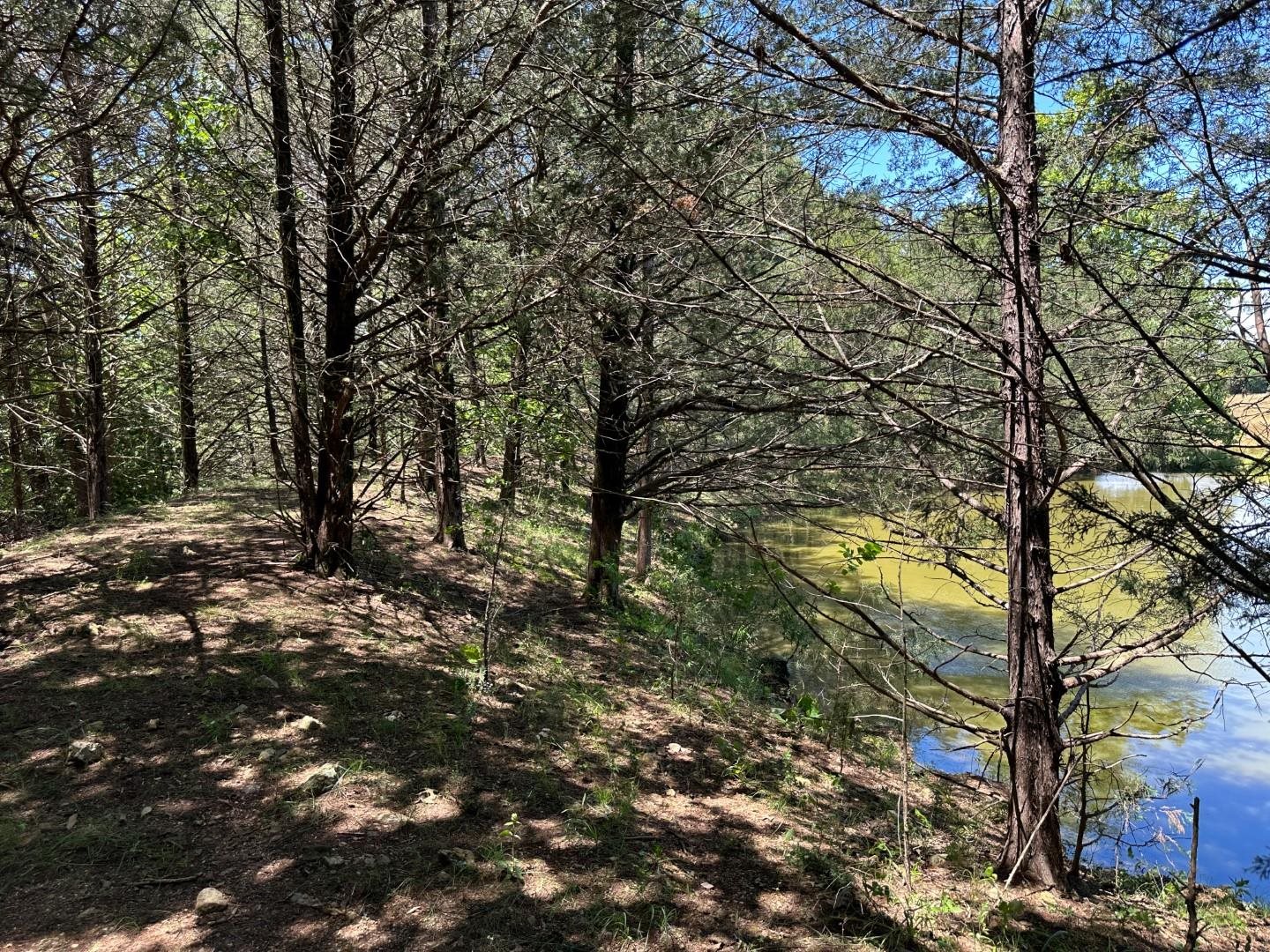 Photo 29 - Vacant Land for sale – 4115  Johnson View   Wiseman, AR