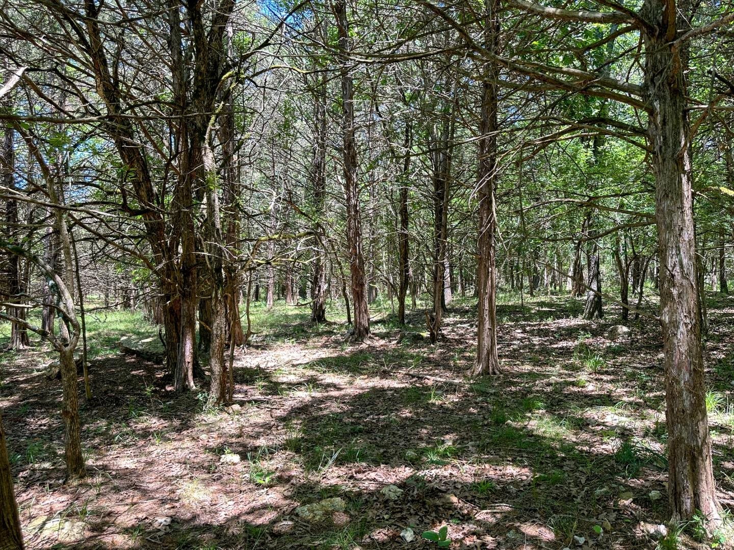 Photo 31 - Vacant Land for sale – 4115  Johnson View   Wiseman, AR