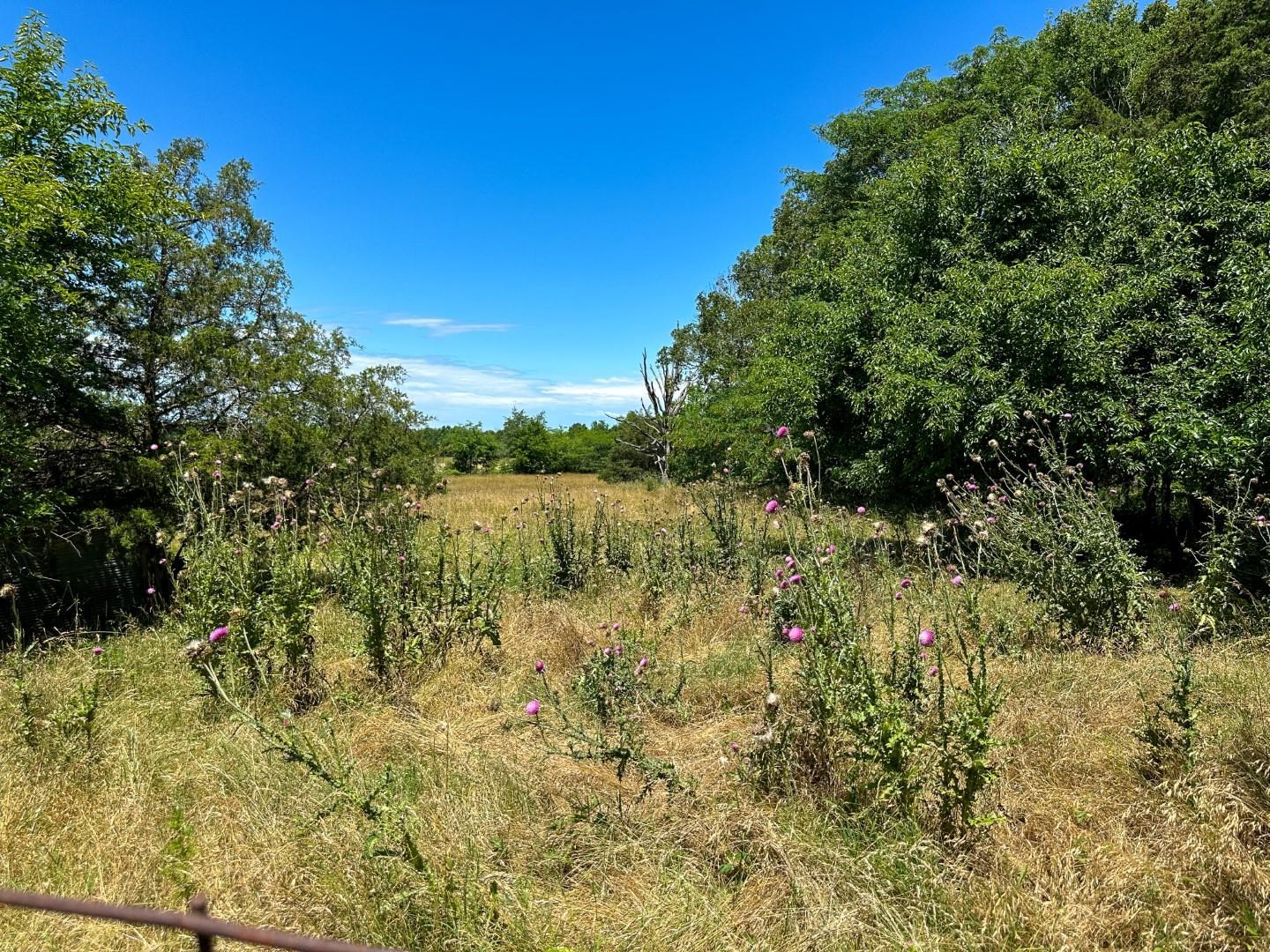 Photo 33 - Vacant Land for sale – 4115  Johnson View   Wiseman, AR