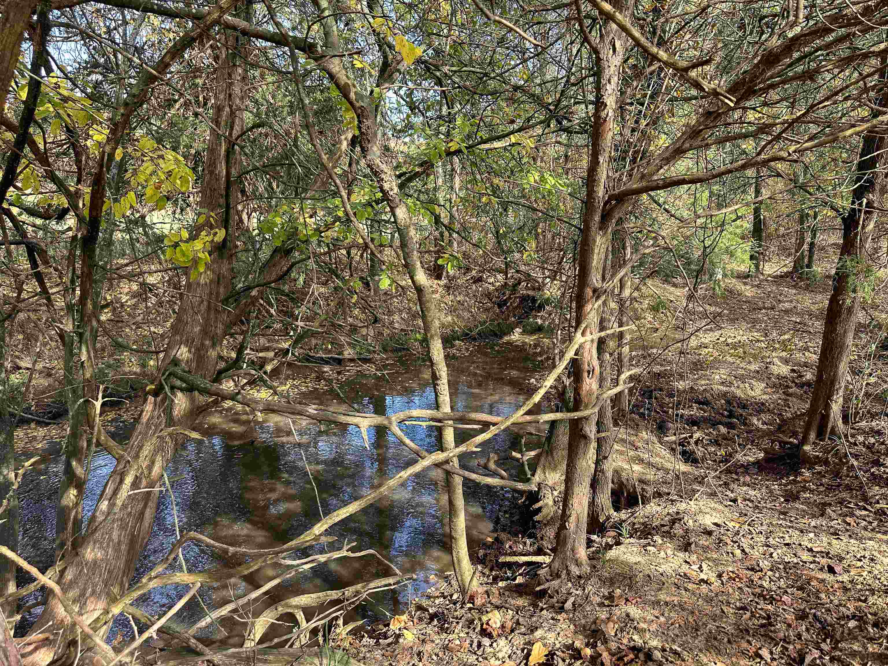 Photo 34 - Vacant Land for sale – 4115  Johnson View   Wiseman, AR