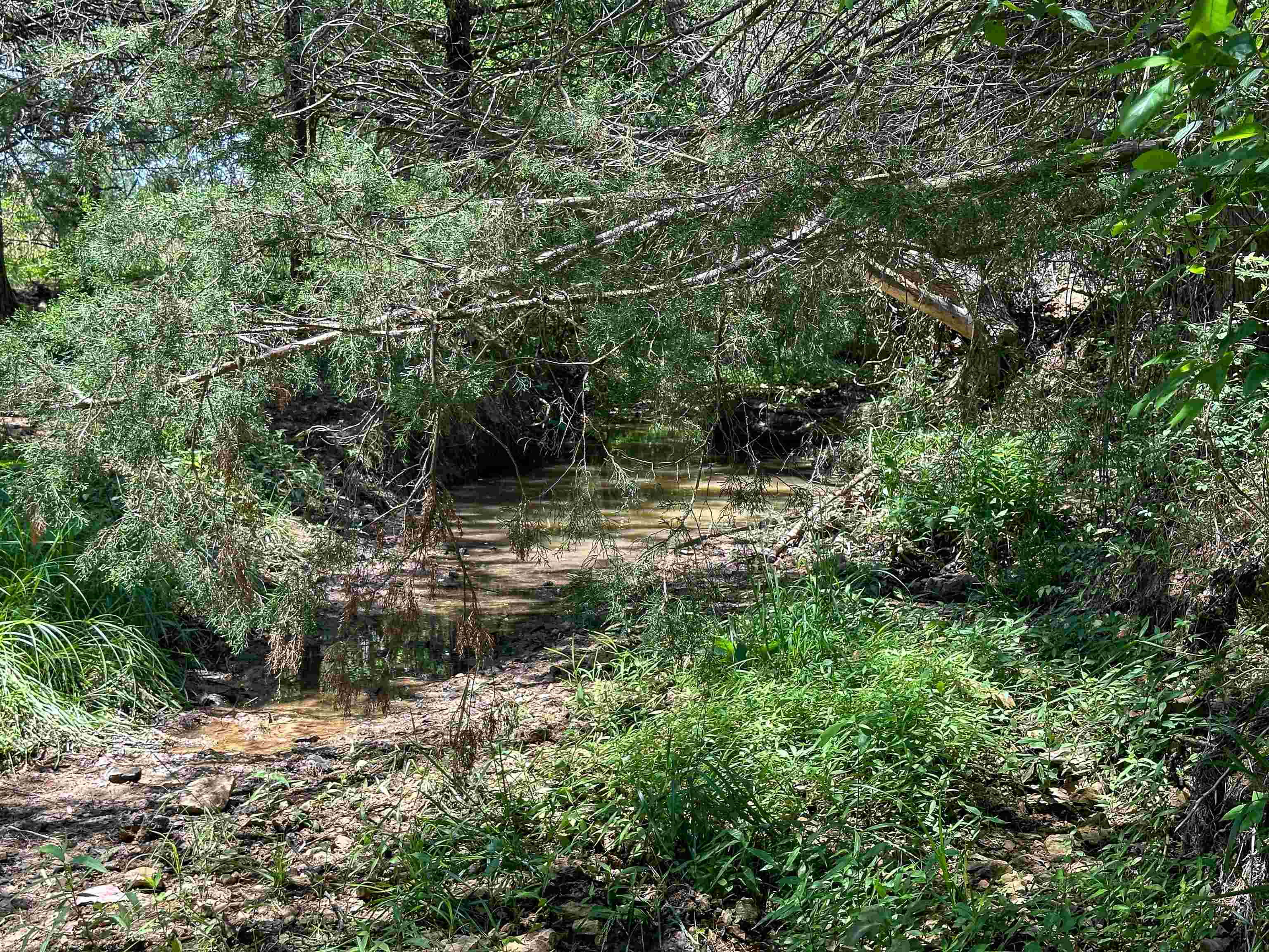 Photo 36 - Vacant Land for sale – 4115  Johnson View   Wiseman, AR