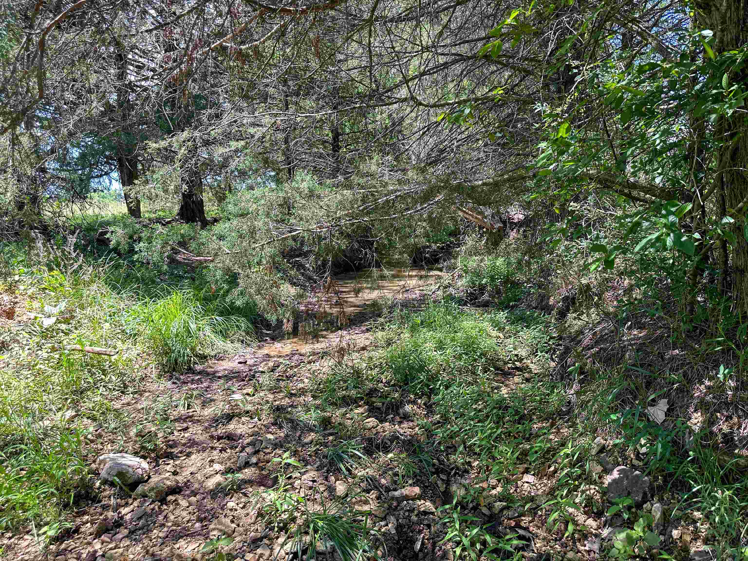 Photo 37 - Vacant Land for sale – 4115  Johnson View   Wiseman, AR