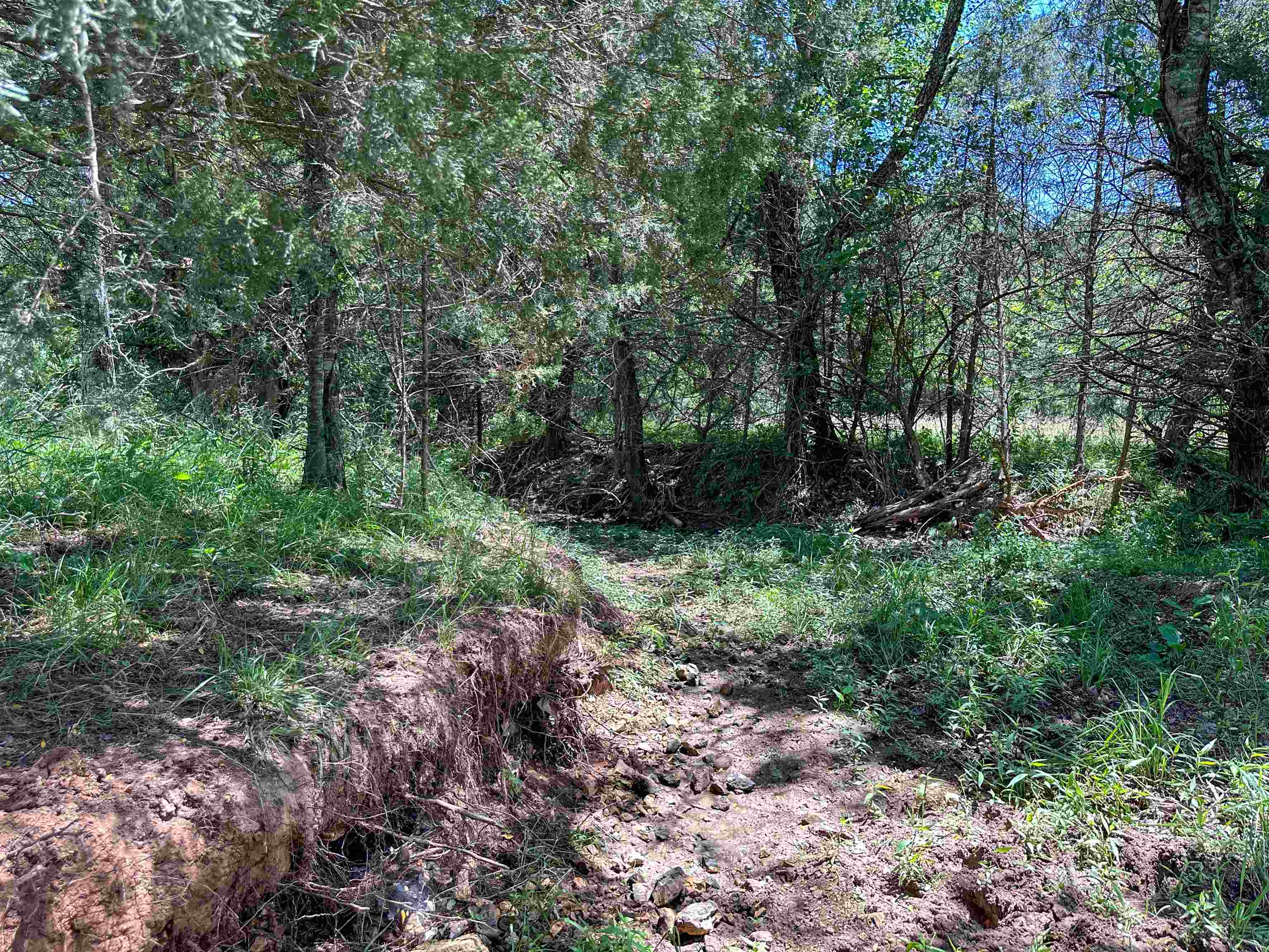 Photo 38 - Vacant Land for sale – 4115  Johnson View   Wiseman, AR