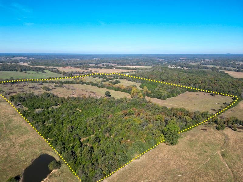 Photo 5 - Vacant Land for sale – 4115  Johnson View   Wiseman, AR