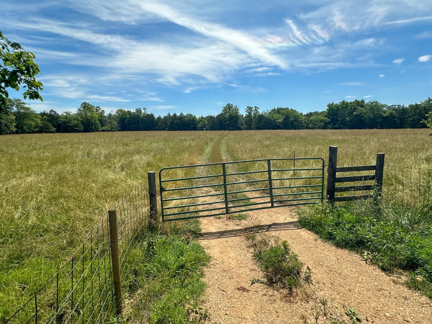 Photo 7 - Vacant Land for sale – 4115  Johnson View   Wiseman, AR