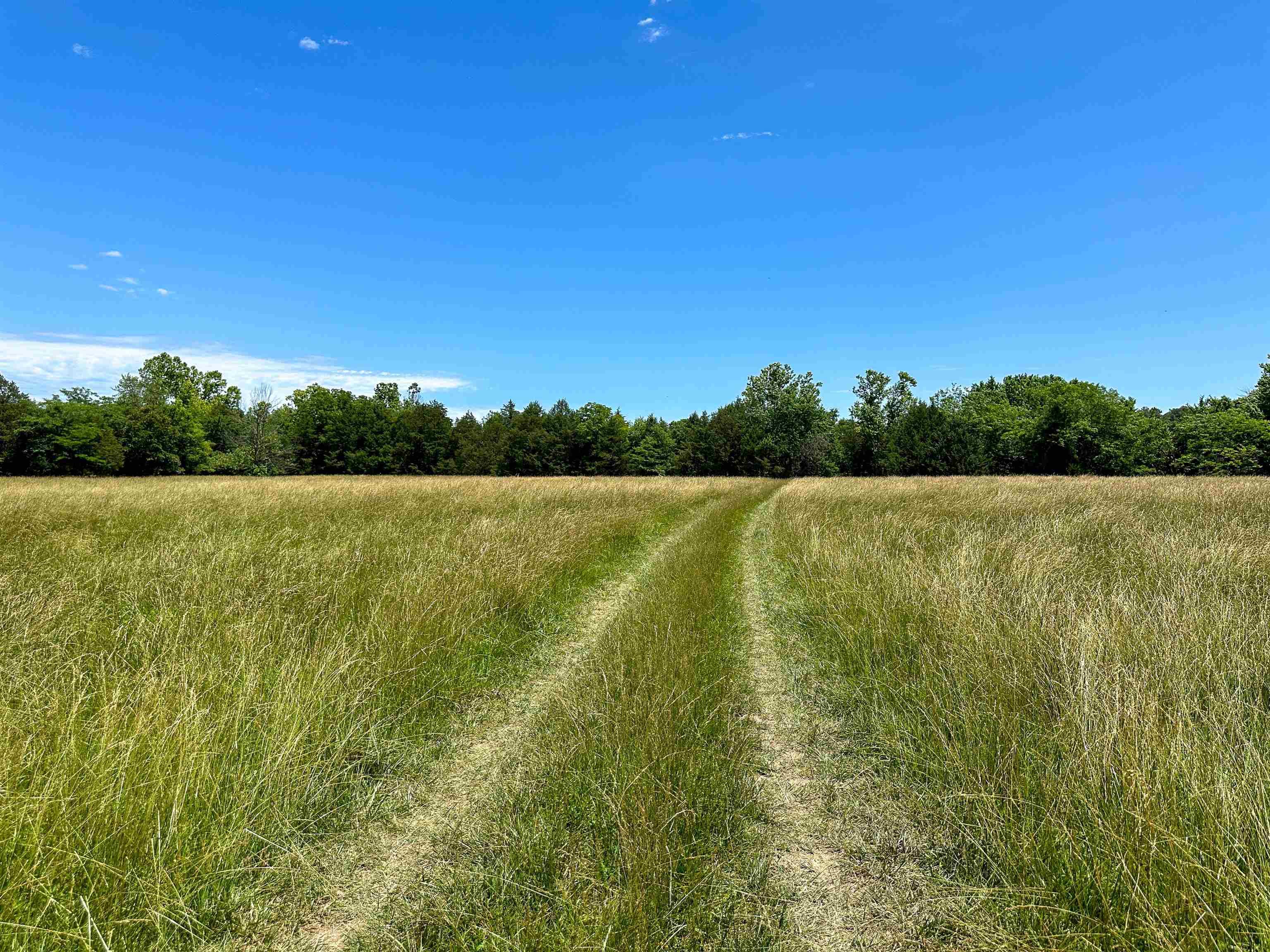 Photo 8 - Vacant Land for sale – 4115  Johnson View   Wiseman, AR