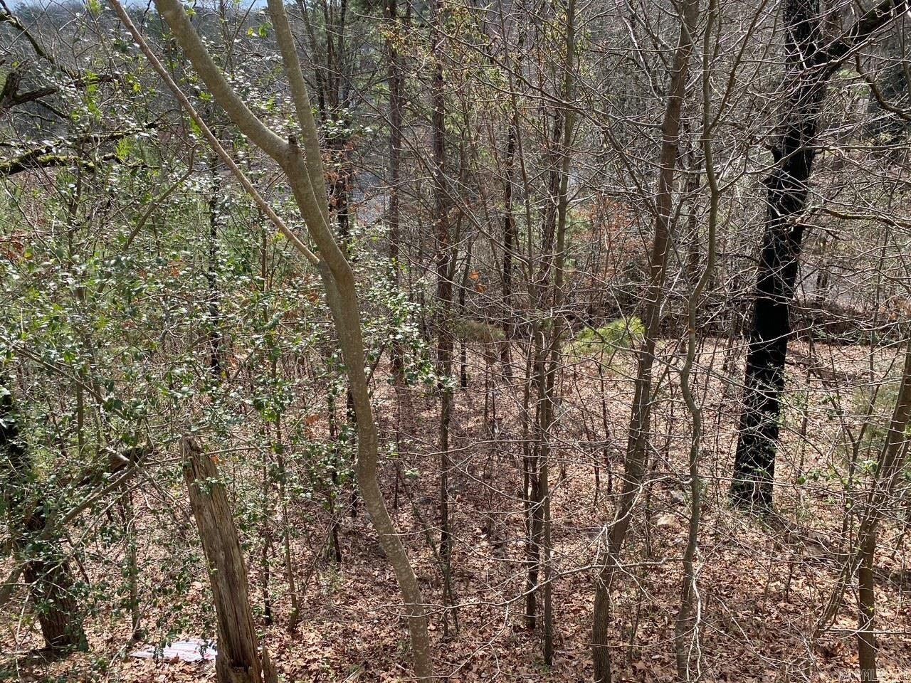 Vacant Land for sale – 00  WildWood   Ash Flat, AR