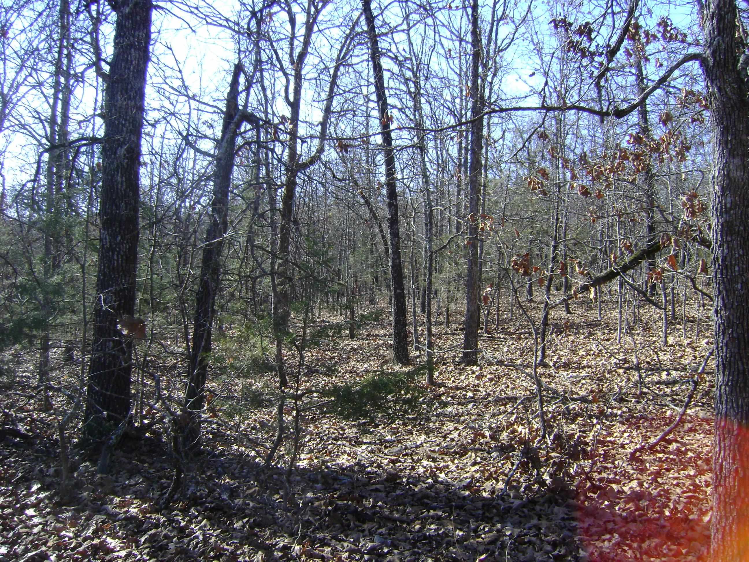 Photo 13 - Vacant Land for sale – XXX  Venture Lane   Ash Flat, AR