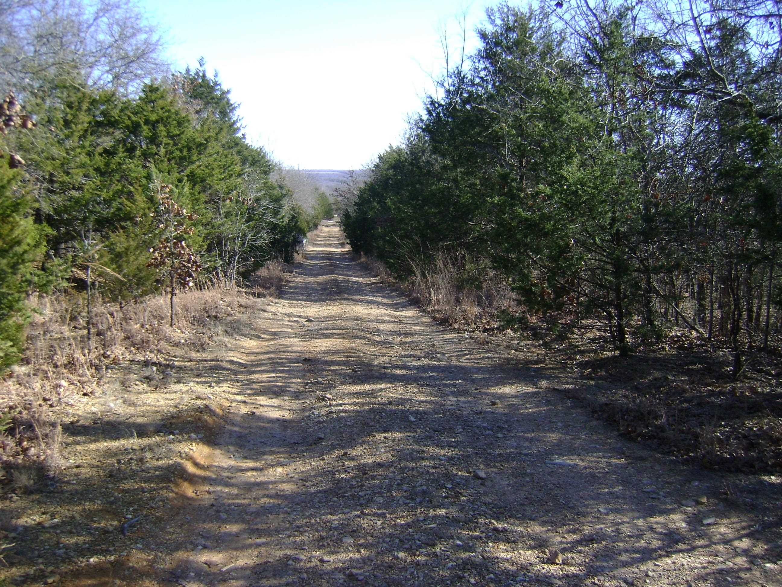 Photo 6 - Vacant Land for sale – XXX  Venture Lane   Ash Flat, AR