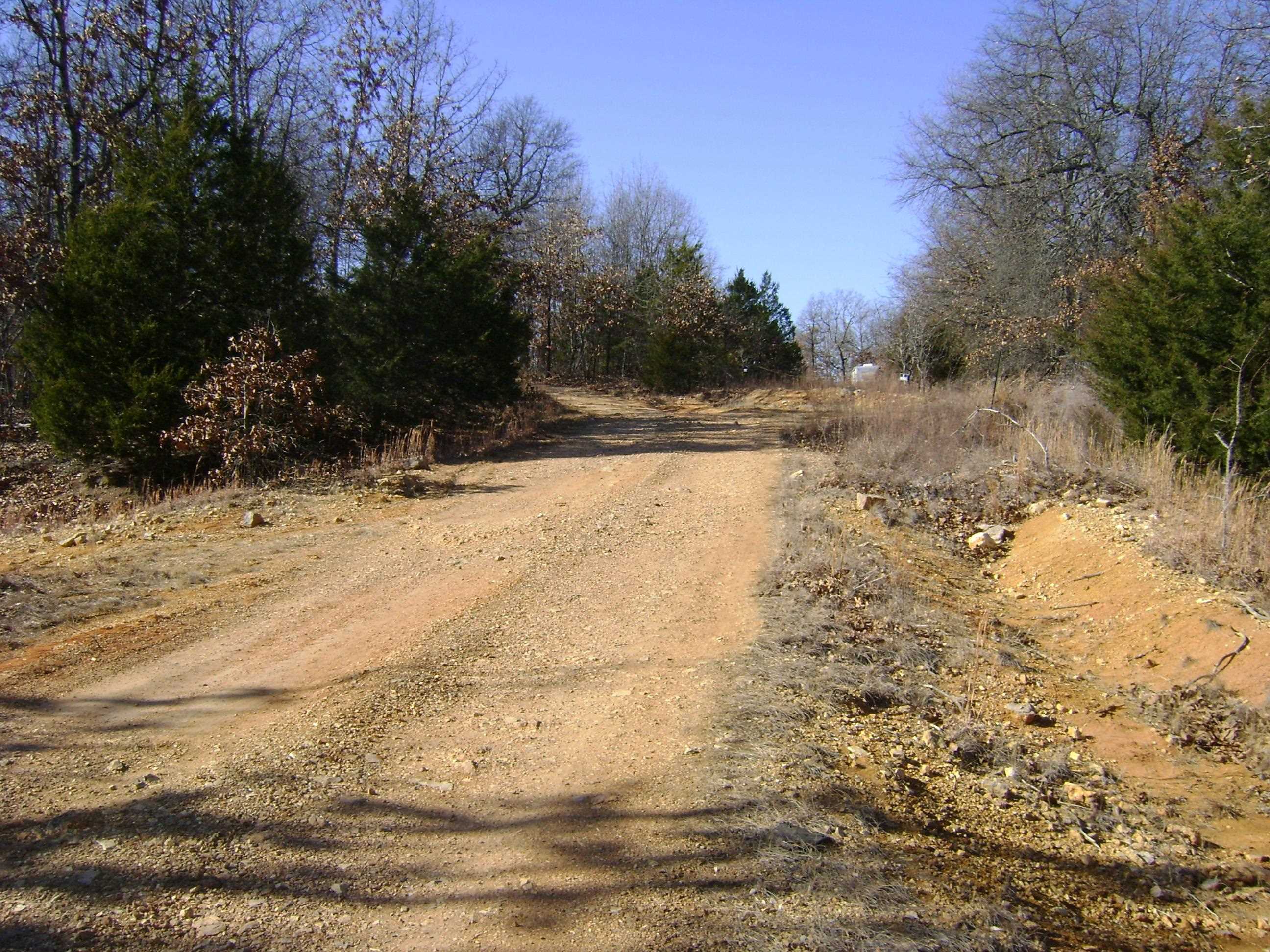 Photo 7 - Vacant Land for sale – XXX  Venture Lane   Ash Flat, AR