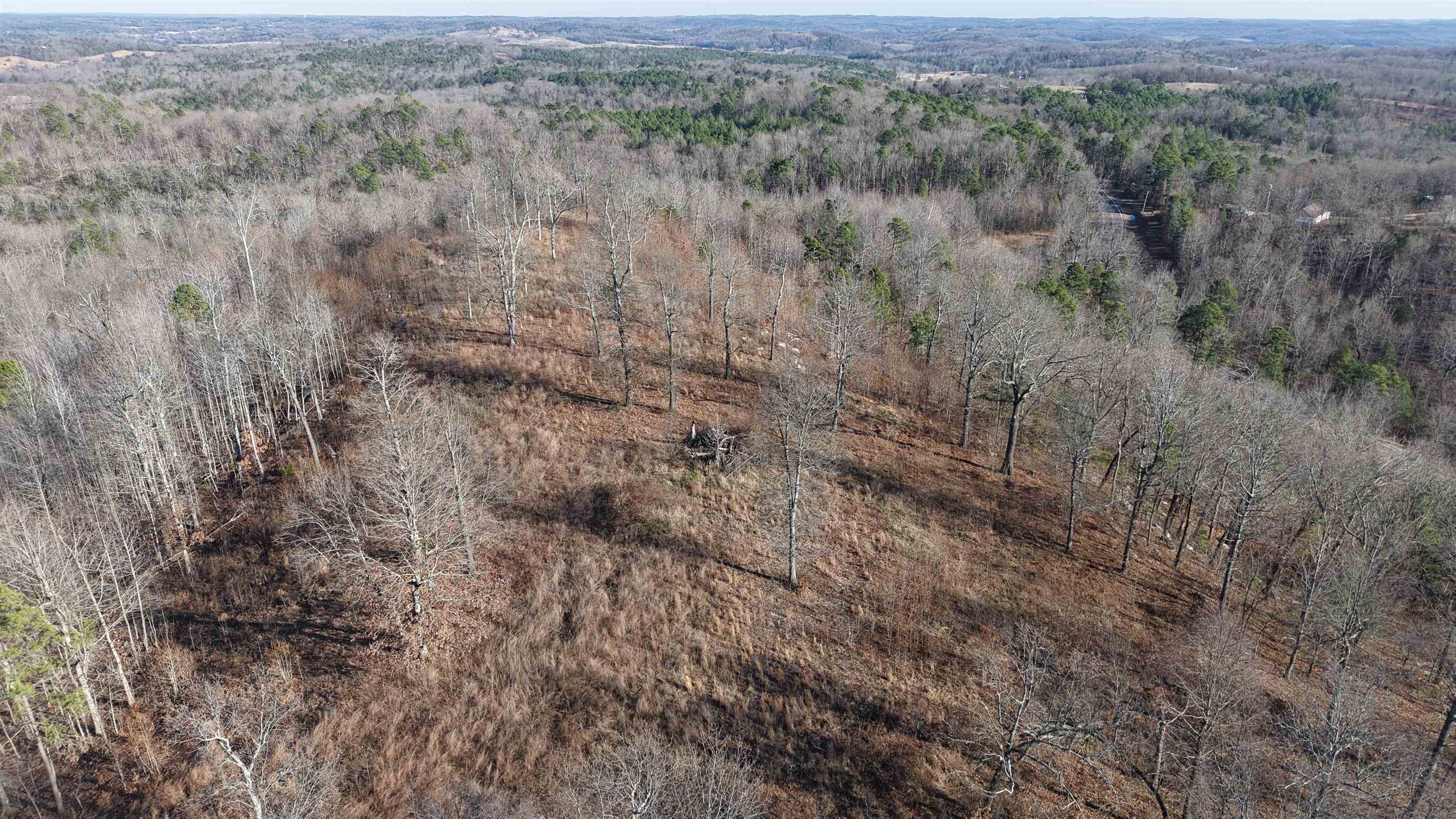 Photo 2 - Vacant Land for sale – S  AR 9   Melbourne, AR