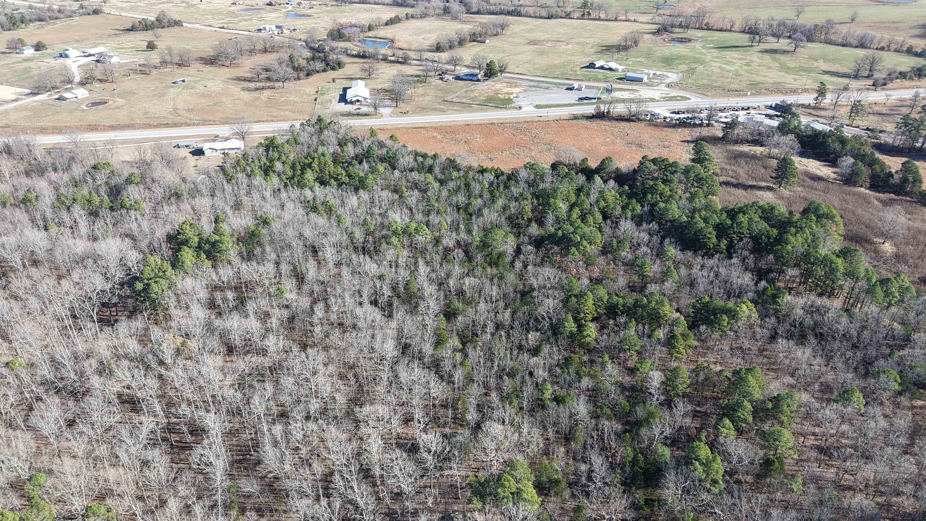 Photo 4 - Vacant Land for sale – S  AR 9   Melbourne, AR