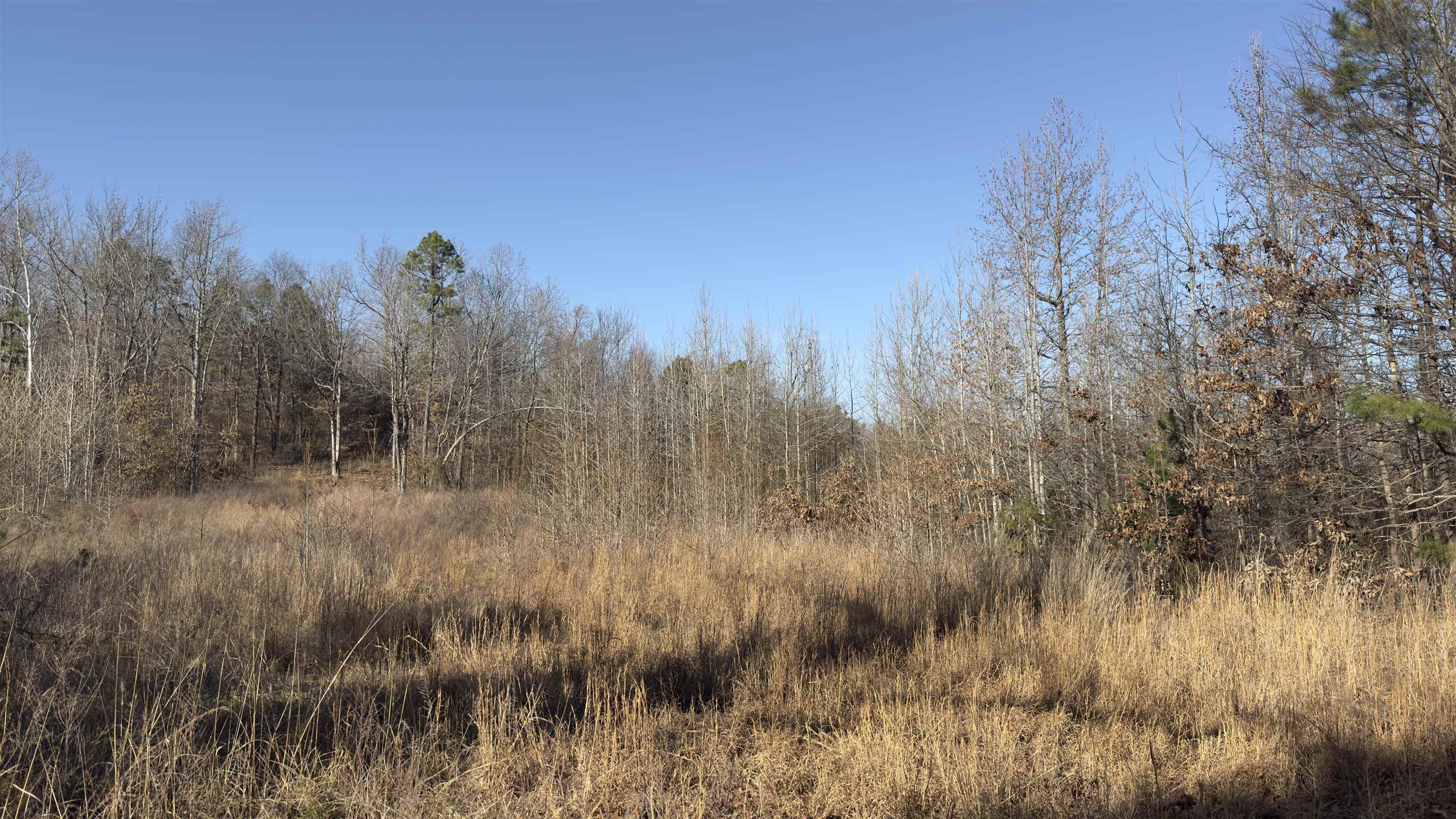 Photo 6 - Vacant Land for sale – S  AR 9   Melbourne, AR