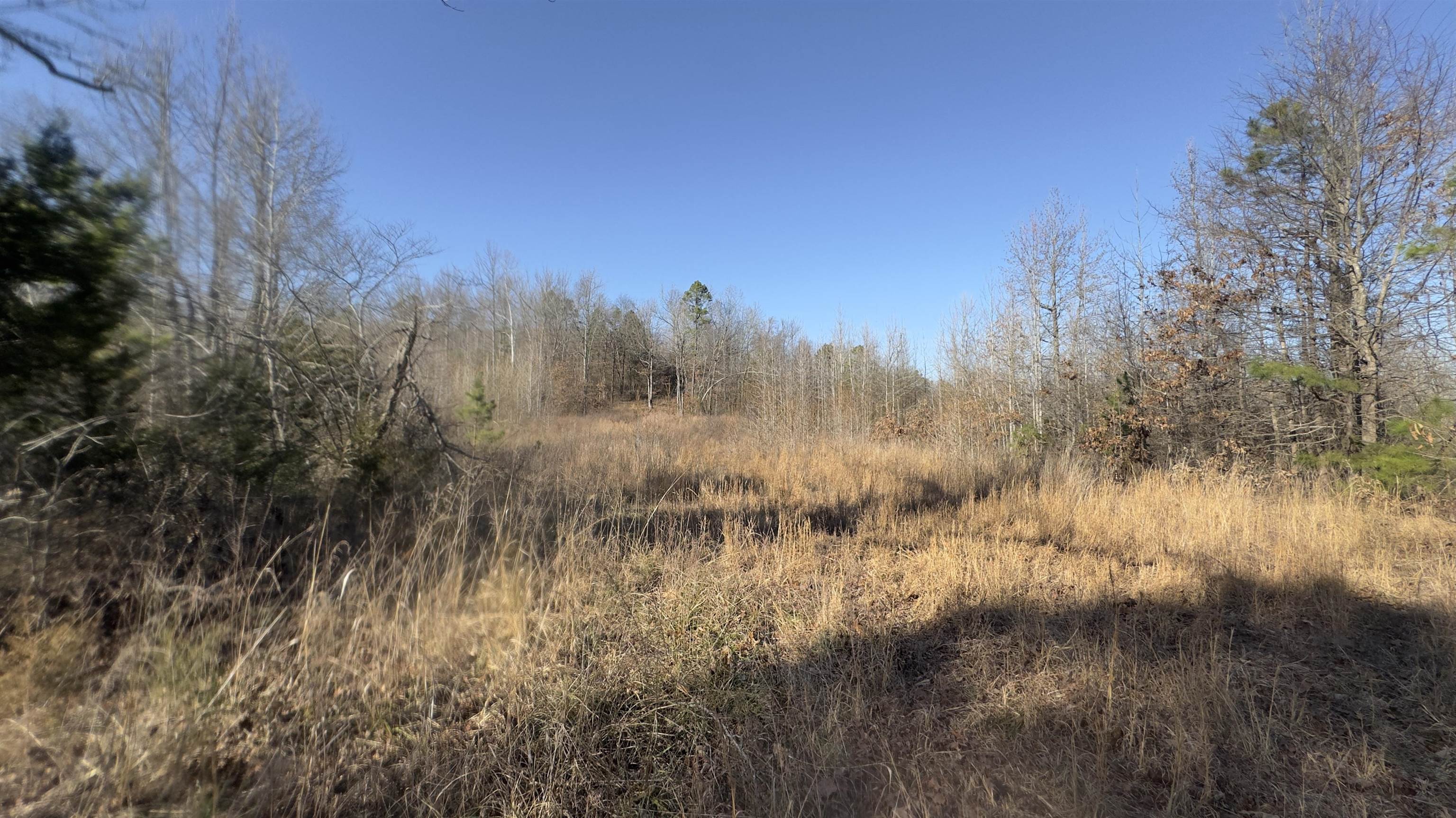 Photo 6 - Vacant Land for sale – S  AR 9   Melbourne, AR