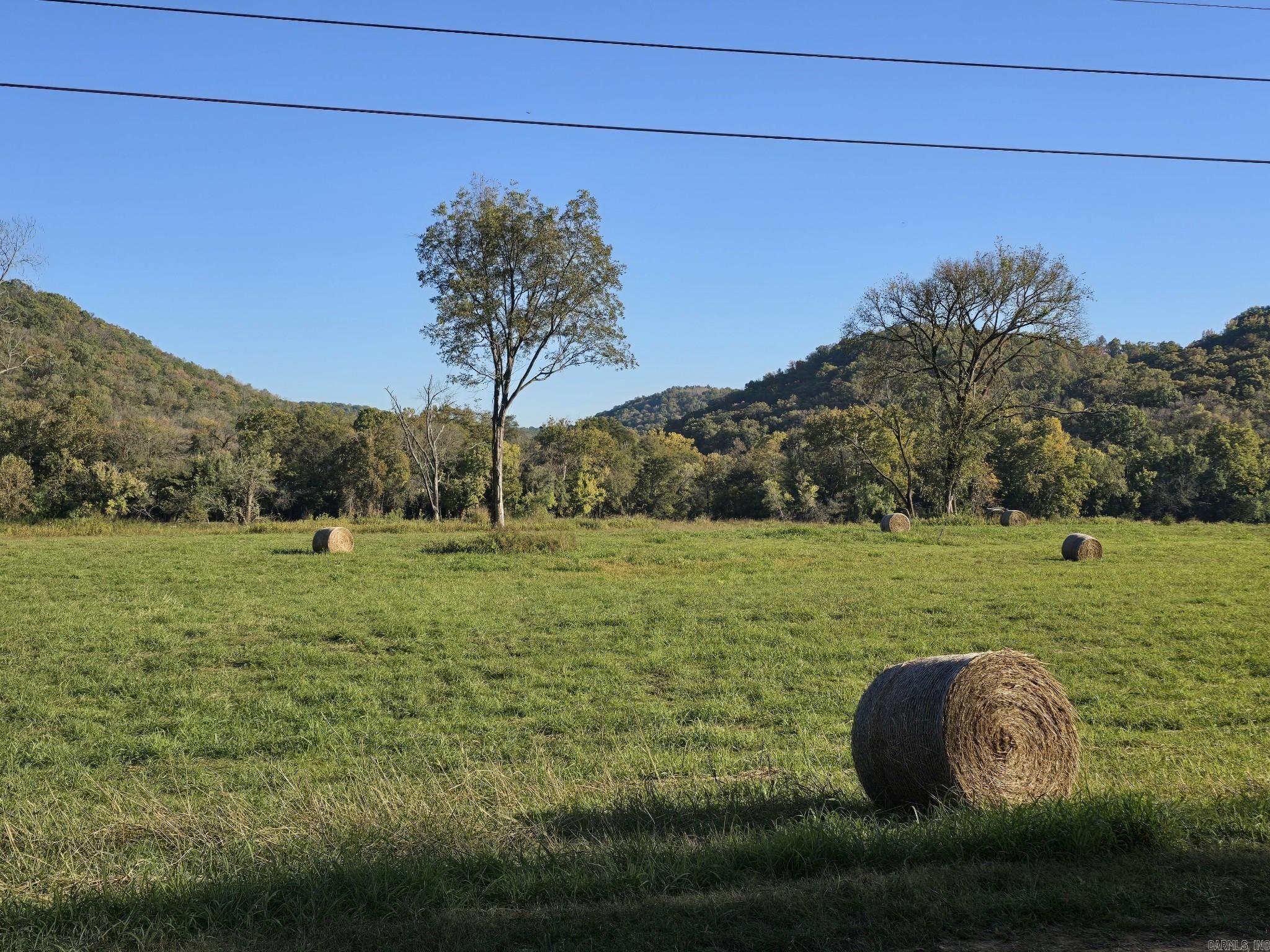Photo 4 - Vacant Land for sale – TBD W School House Hollow Road   Melbourne, AR