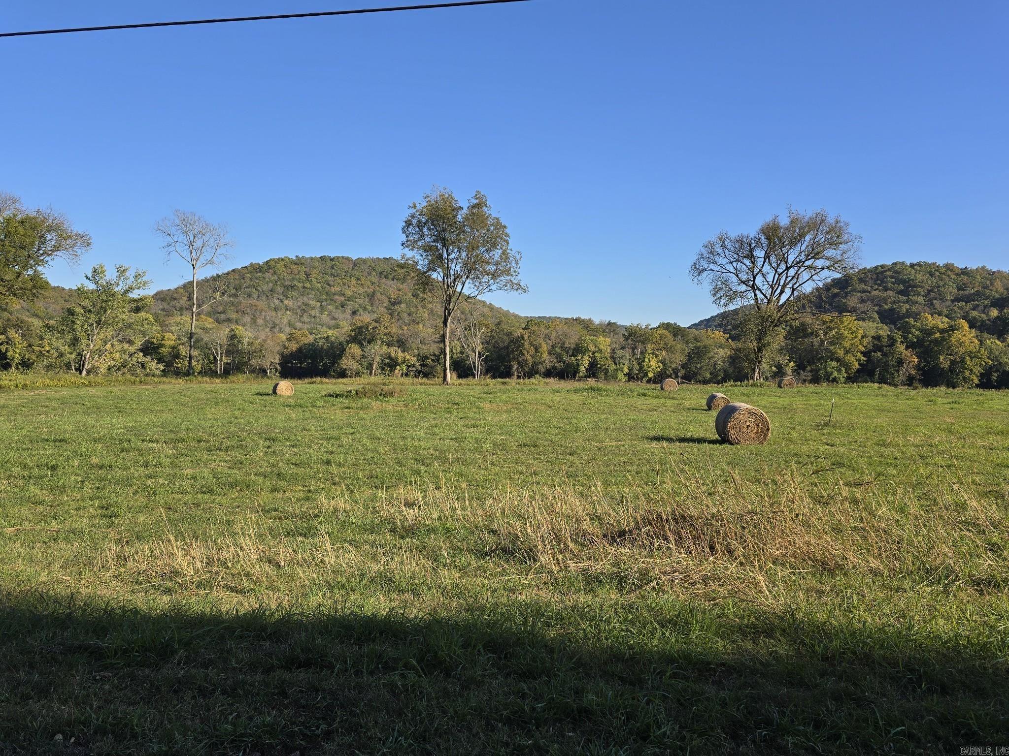Photo 5 - Vacant Land for sale – TBD W School House Hollow Road   Melbourne, AR