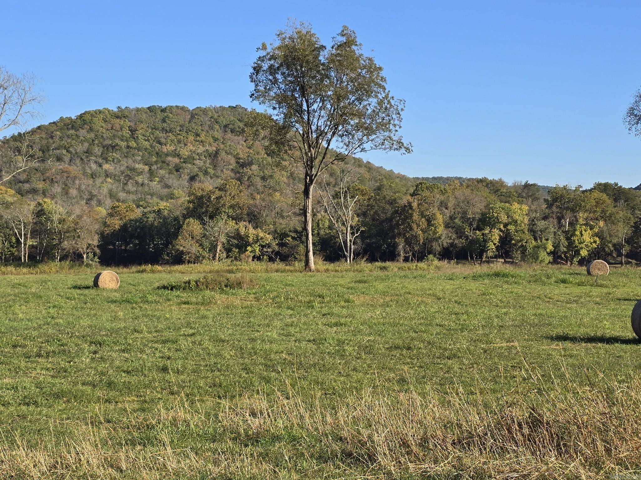 Photo 6 - Vacant Land for sale – TBD W School House Hollow Road   Melbourne, AR