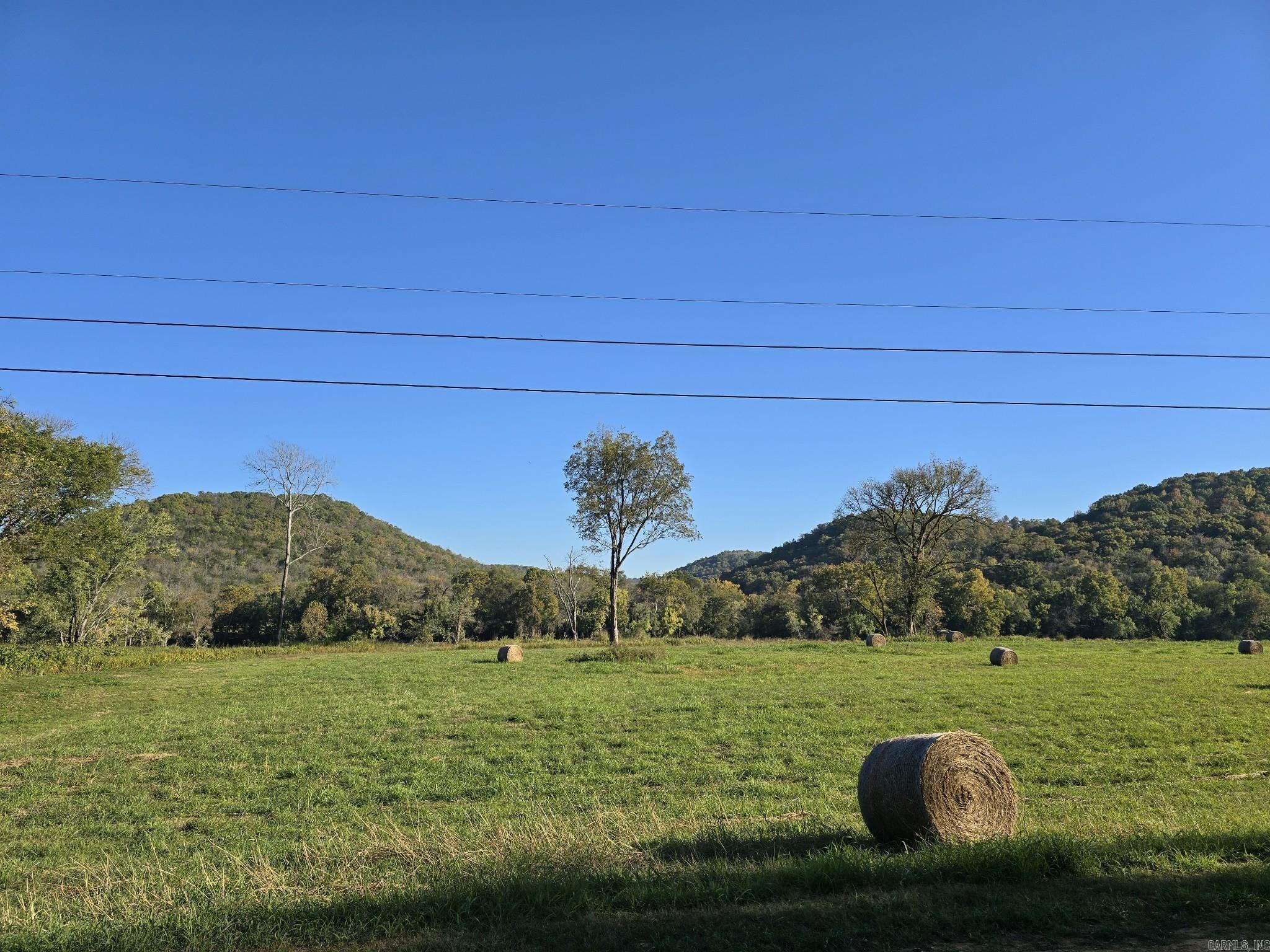 Photo 7 - Vacant Land for sale – TBD W School House Hollow Road   Melbourne, AR