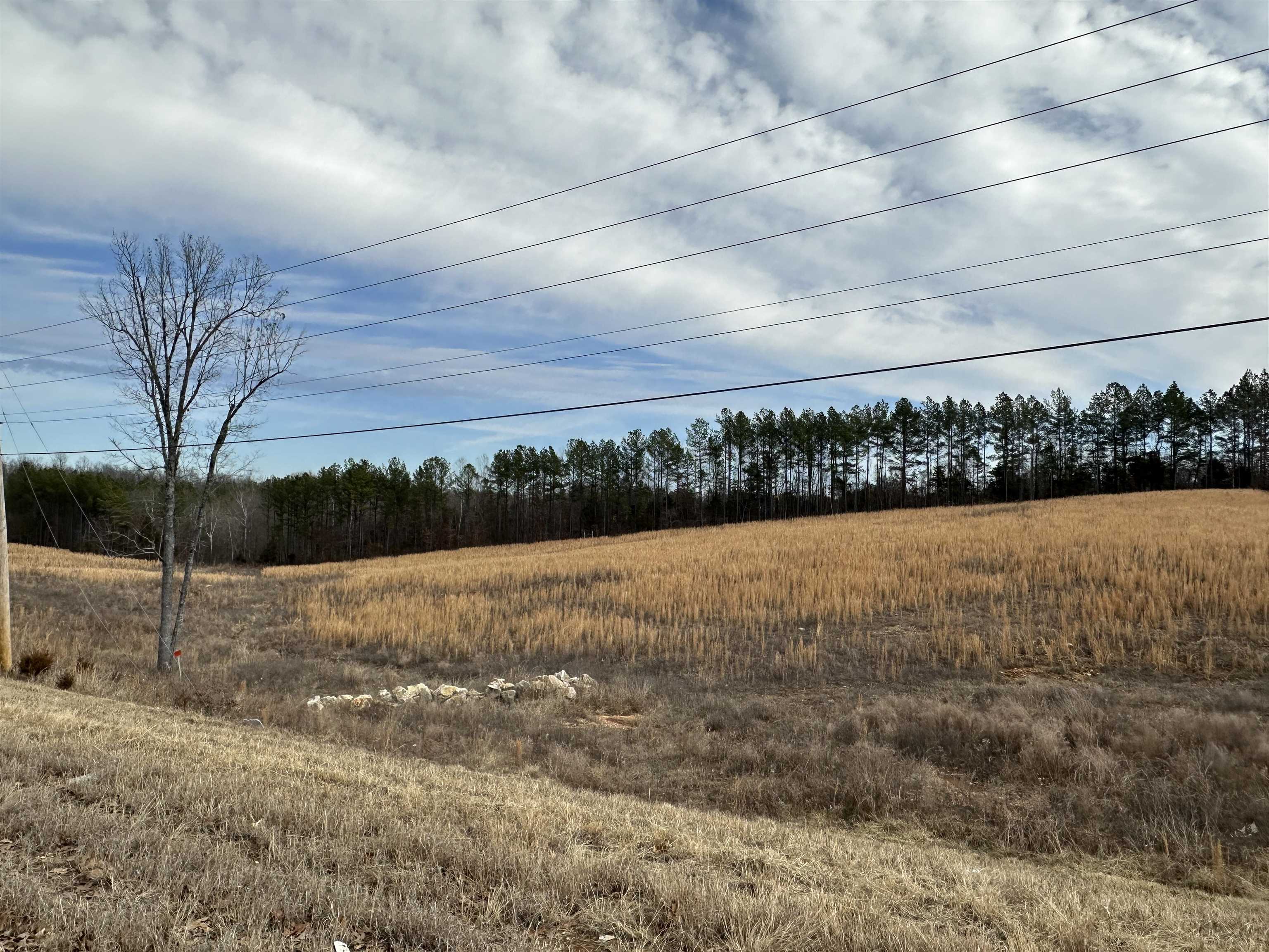 Photo 6 - Vacant Land for sale – XX  highway 62/412   Hardy, AR