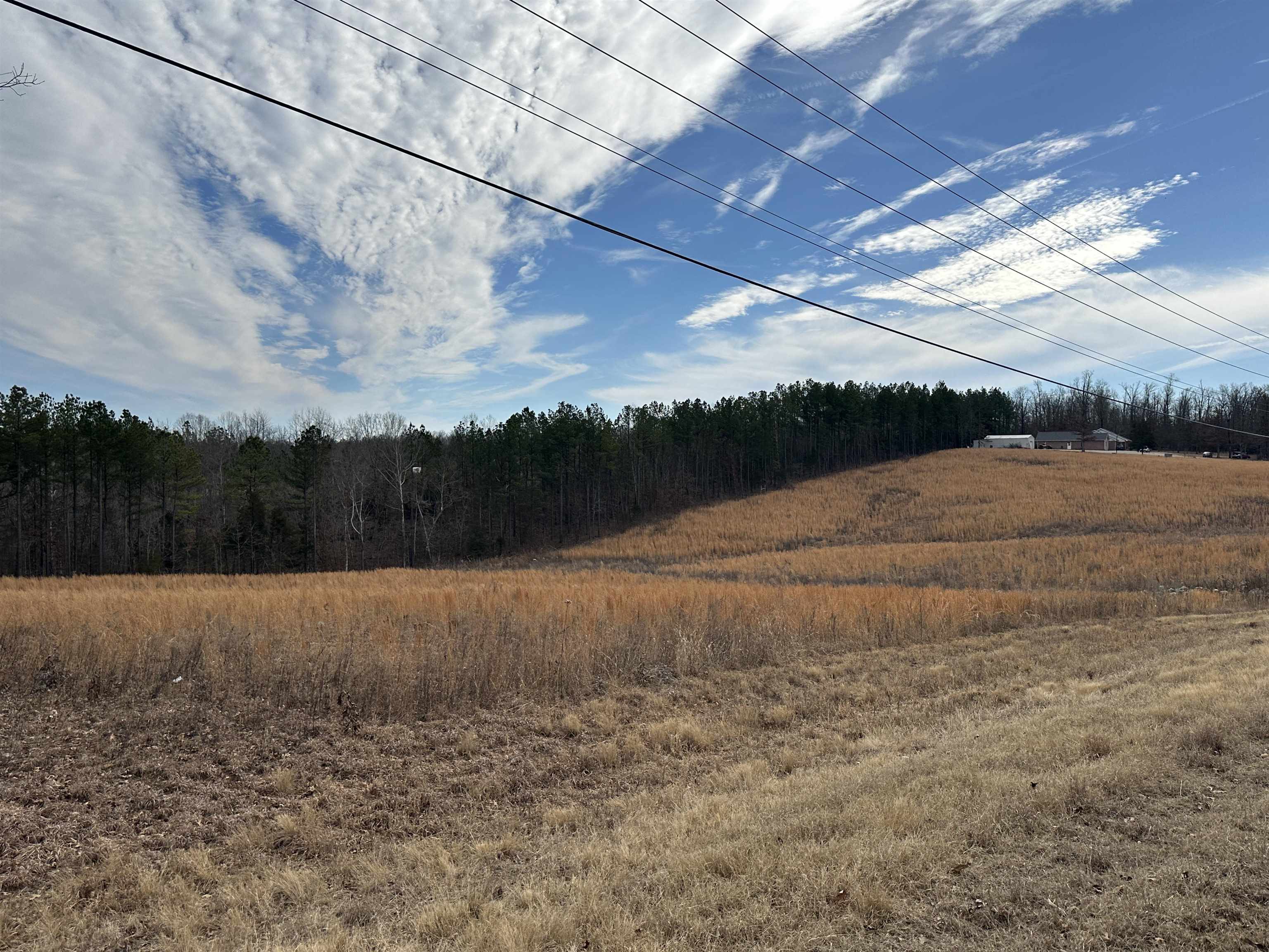 Photo 7 - Vacant Land for sale – XX  highway 62/412   Hardy, AR